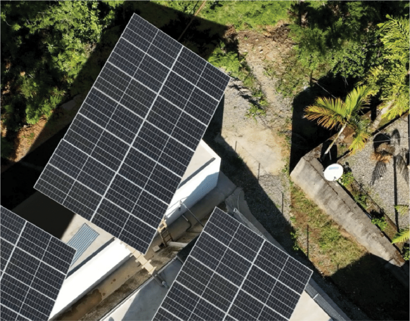 Aerial view of residential rooftops with solar panels, surrounded by trees and greenery in a suburban area.