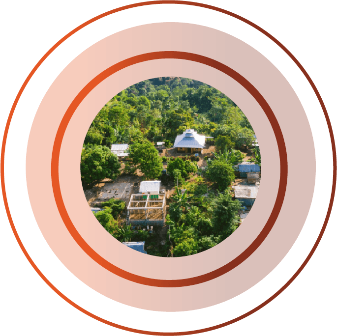 Aerial view of a lush green tropical landscape with houses and structures surrounded by dense trees.