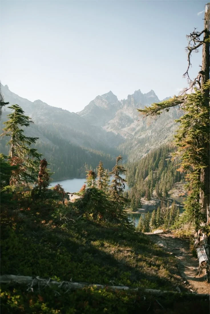 Can I Challenge My Father-In-Law’s Will?