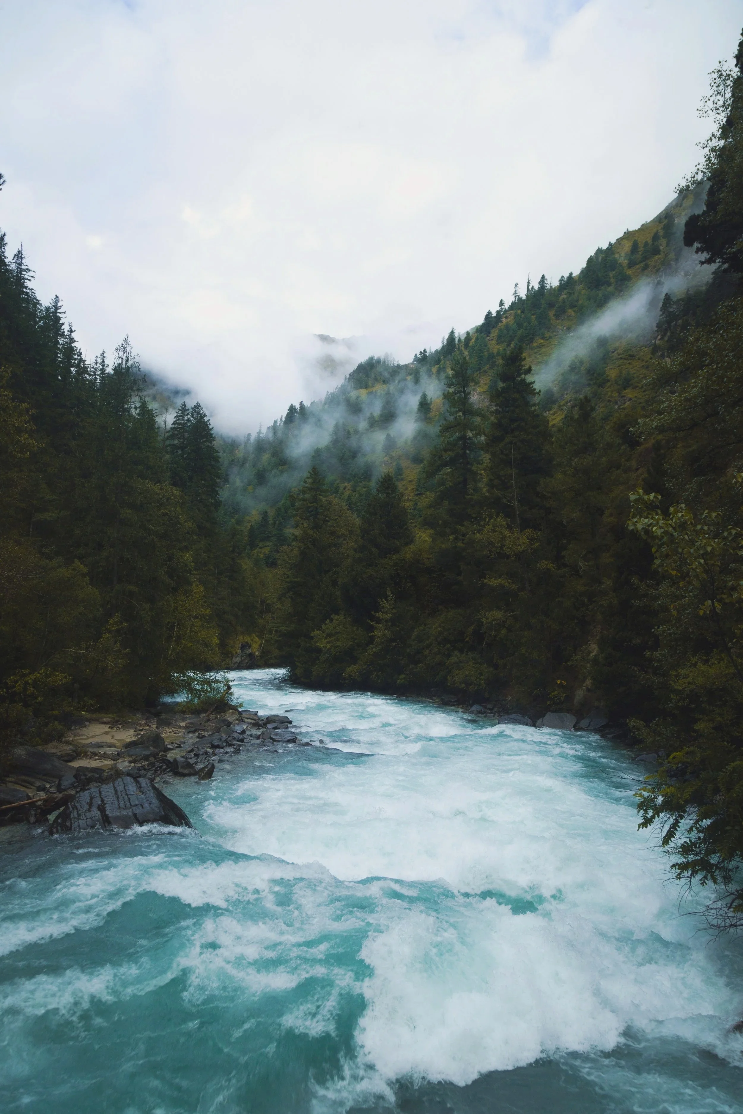 Shareholders’ Agreements – What Are They and Why You Should Have One