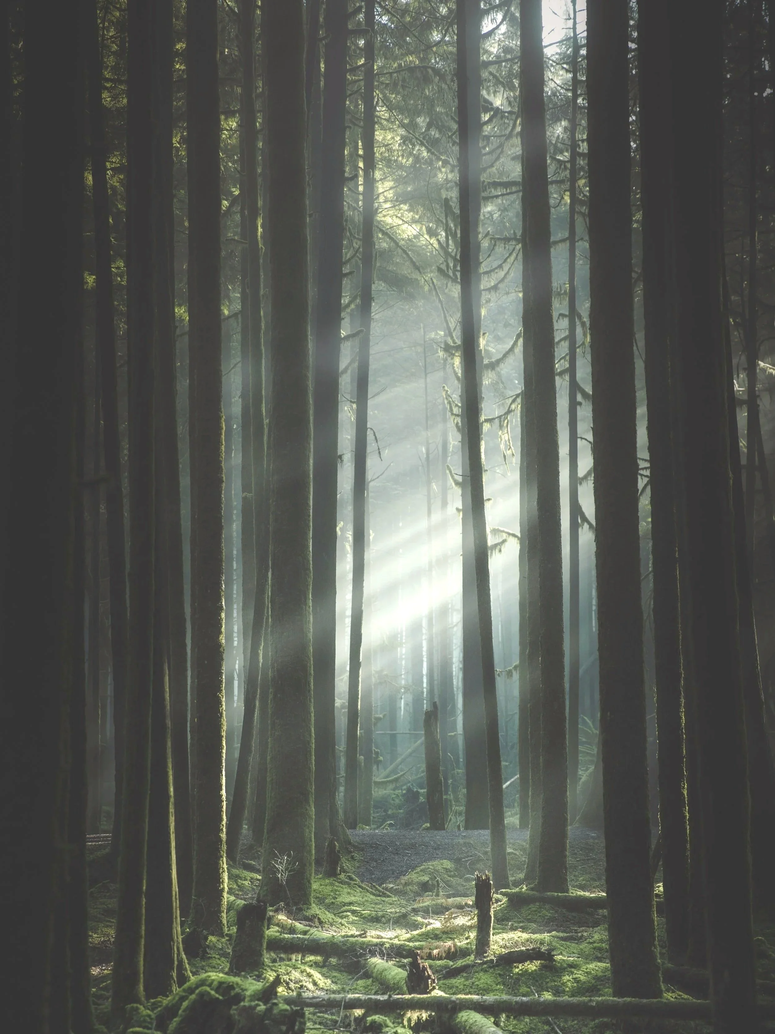What happens If You Die Without a Will?
