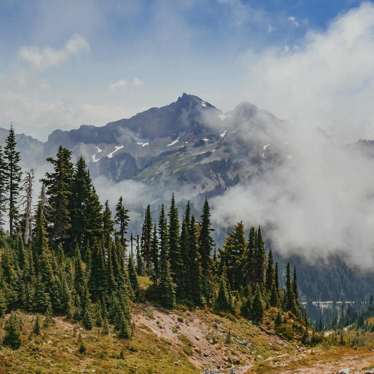 A mountain with snow patches partially shrouded by fog, with a foreground of evergreen trees on a hillside.
