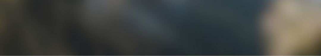 A blurry, out-of-focus image that appears to be of a natural landscape or outdoor scene.