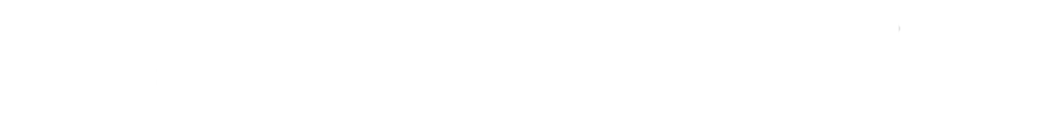 Logo of Race & Company LLP, a law firm, with bold text and an underline.