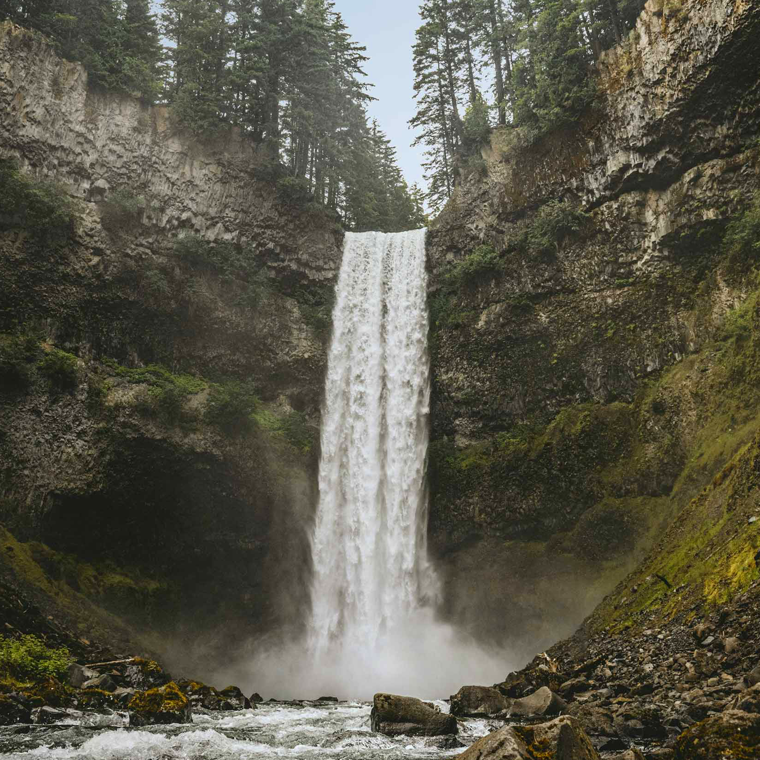 Tall waterfall cascading from a rocky cliff into a river, surrounded by green moss and dense trees.