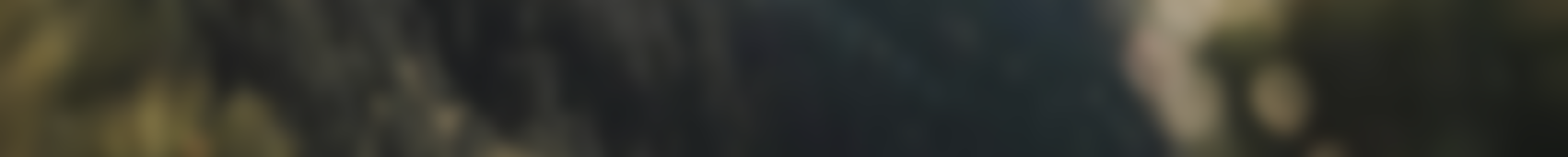 Blurry photo of a natural landscape, possibly a forest with trees and rocks.