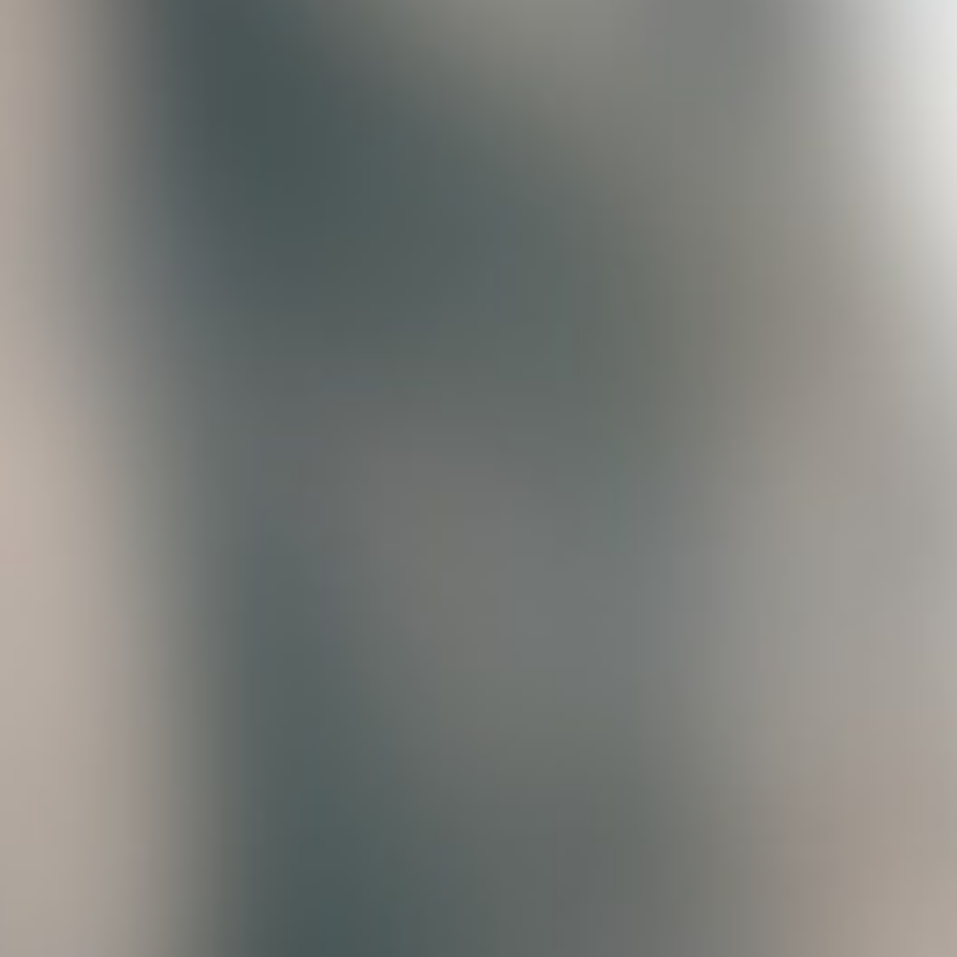 The image is blurred and unclear, making it difficult to identify specific objects or details.