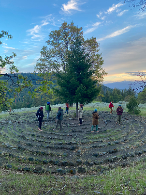 Group of people working in a circular garden bed with a large tree in the background, outdoors during daytime.