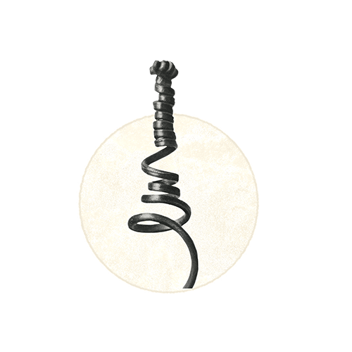 Close-up of a corkscrew against a light background.