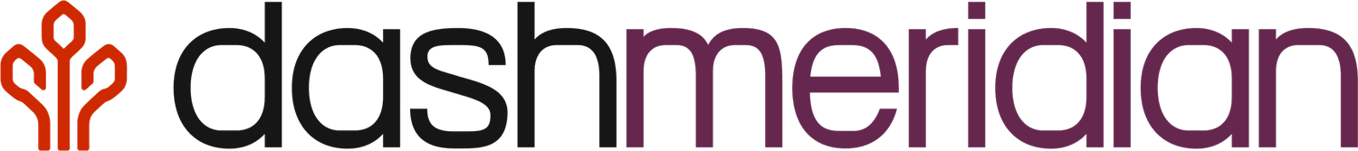 DASH Meridian Consulting