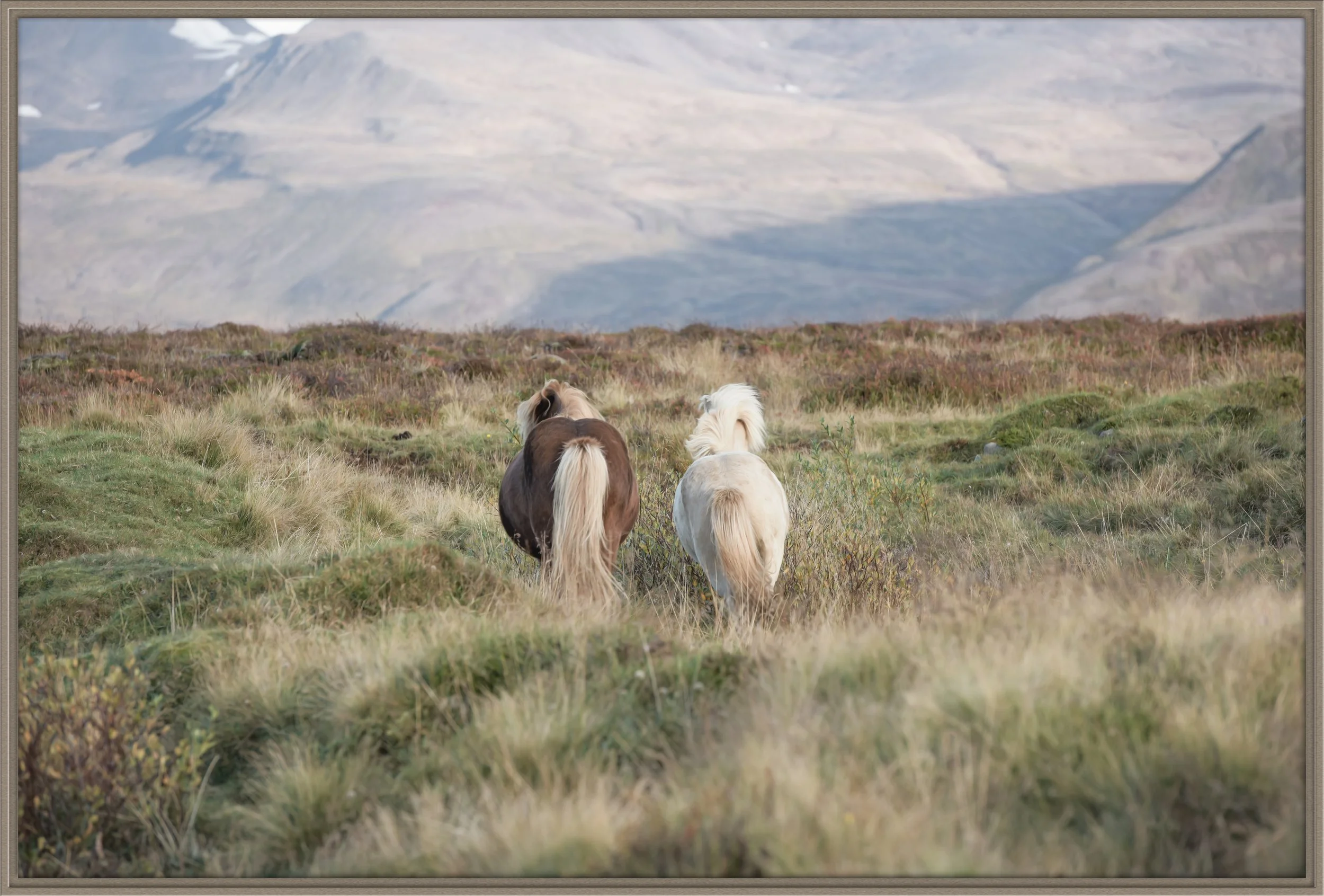 checkin' out_christine dunn-1-Edit-2.jpg