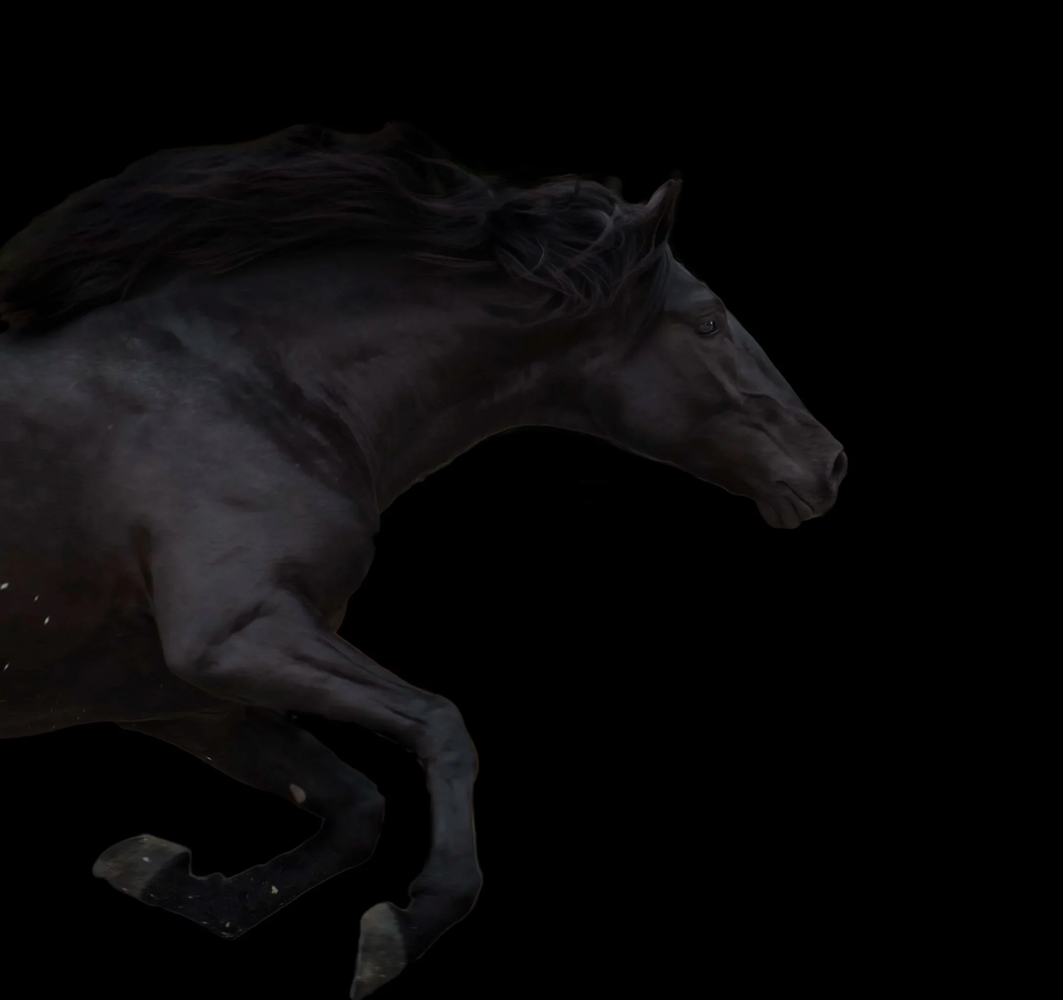 Dark photograph Lusitano Horse running in Portugal by Christy Dunn Equine Photographer