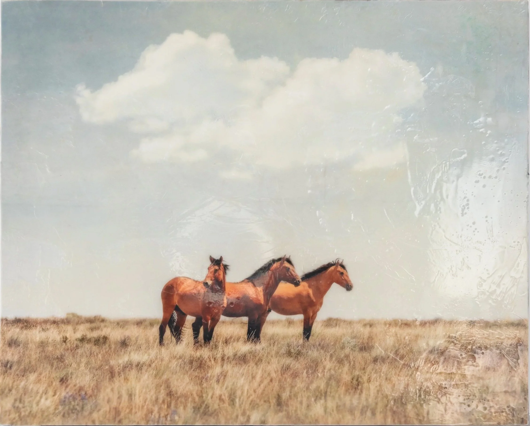 THREE AMIGOS -KIGER MUSTANGS - SOLD