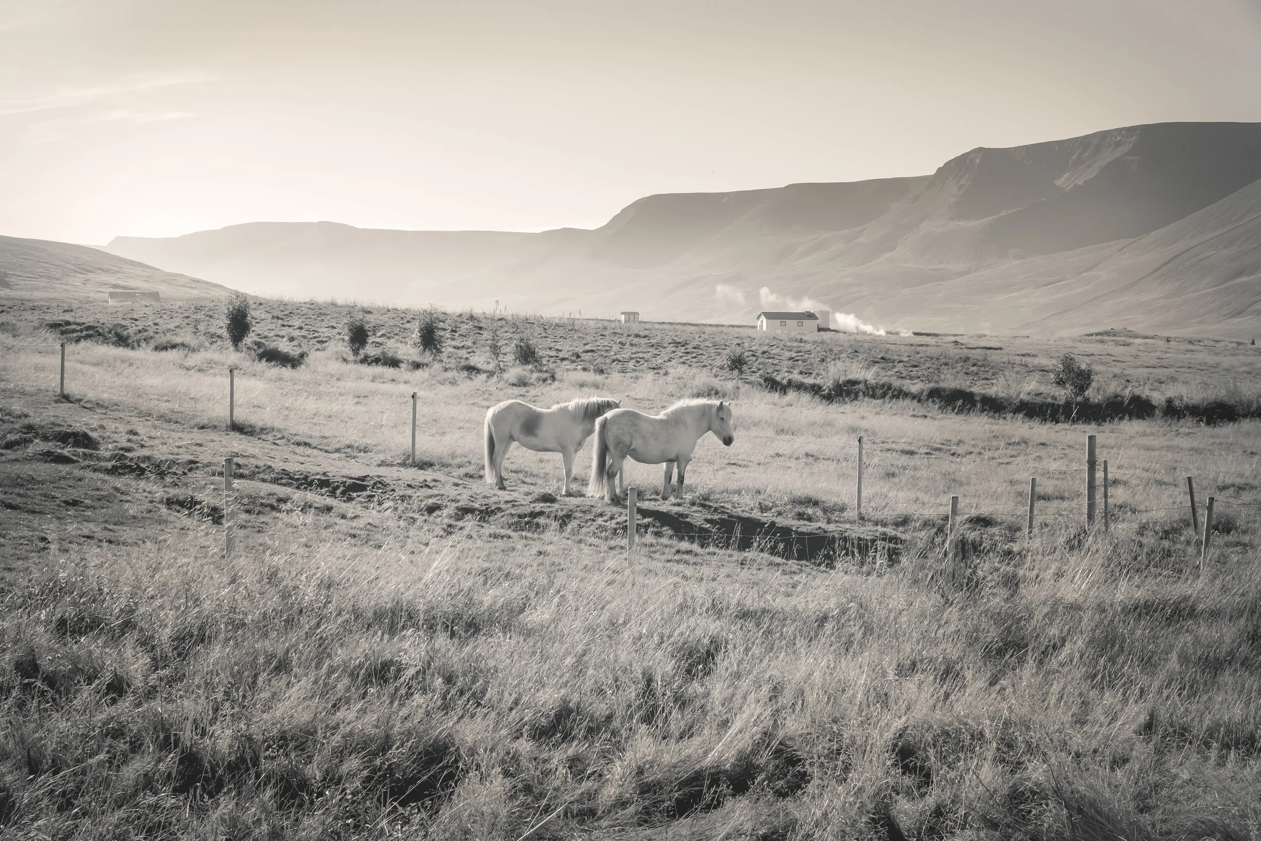 last light_christine dunn-1-2.jpg