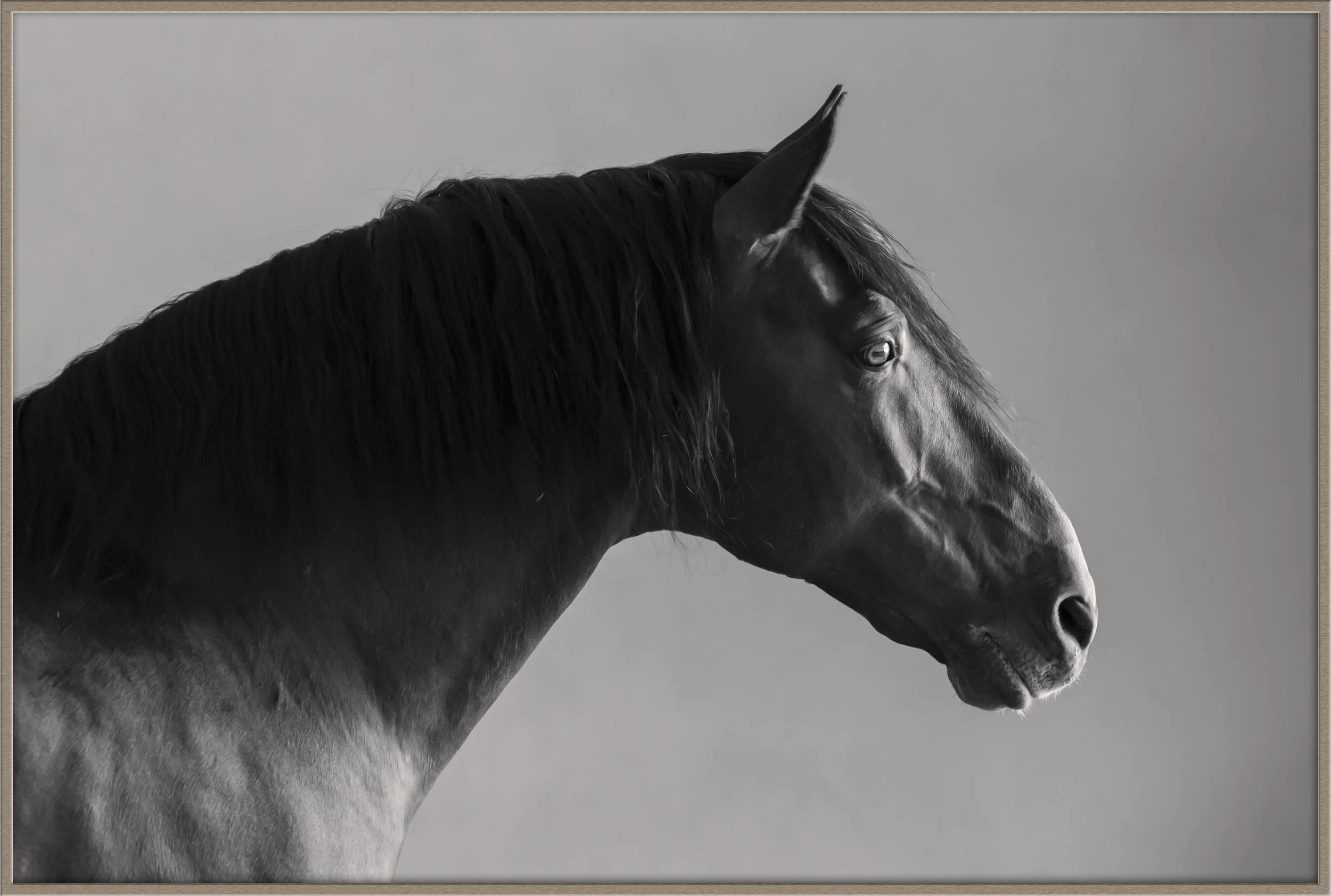 general_christine dunn-1-Edit-2.jpg