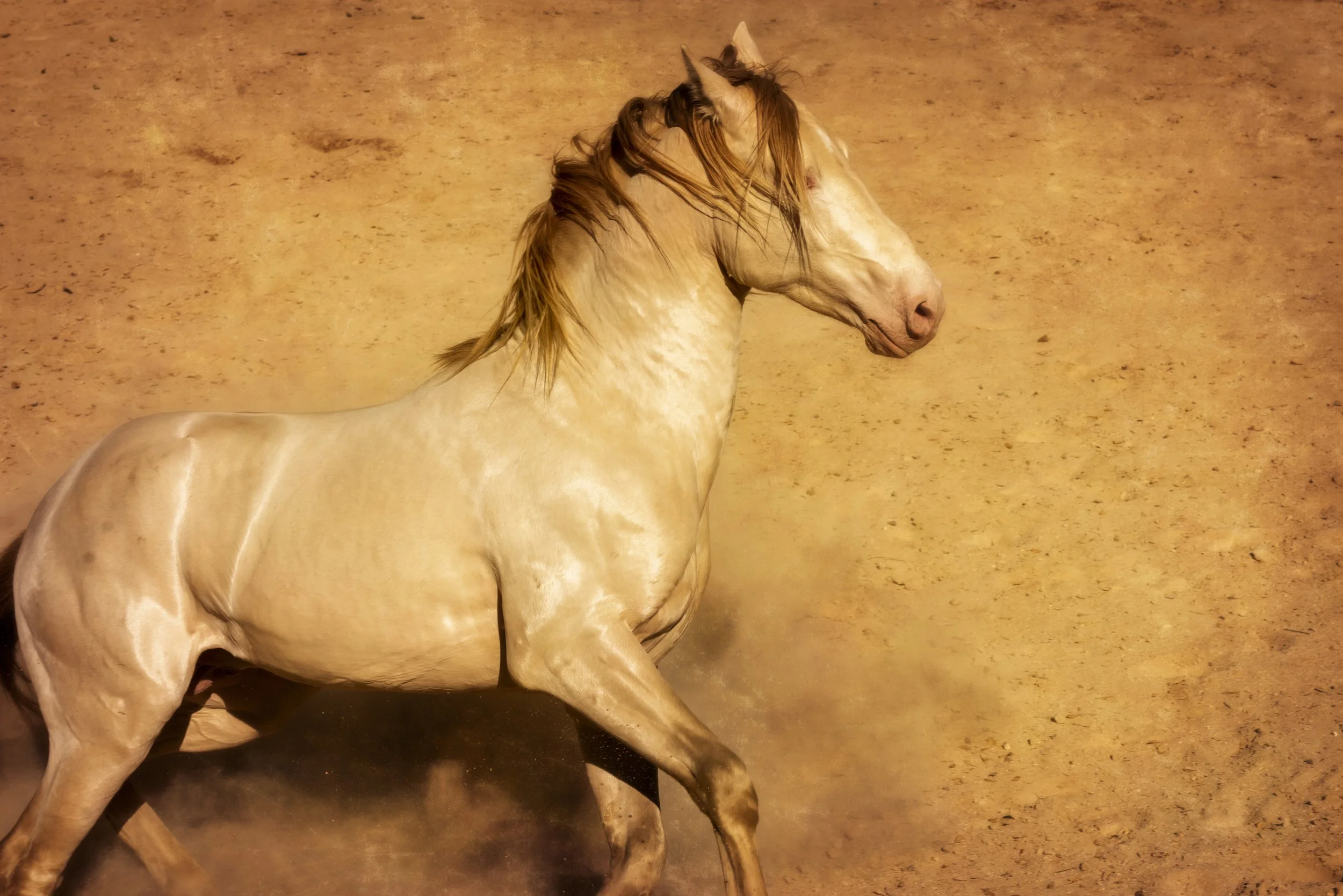 cream of the crop_christine dunn-1-2.jpg