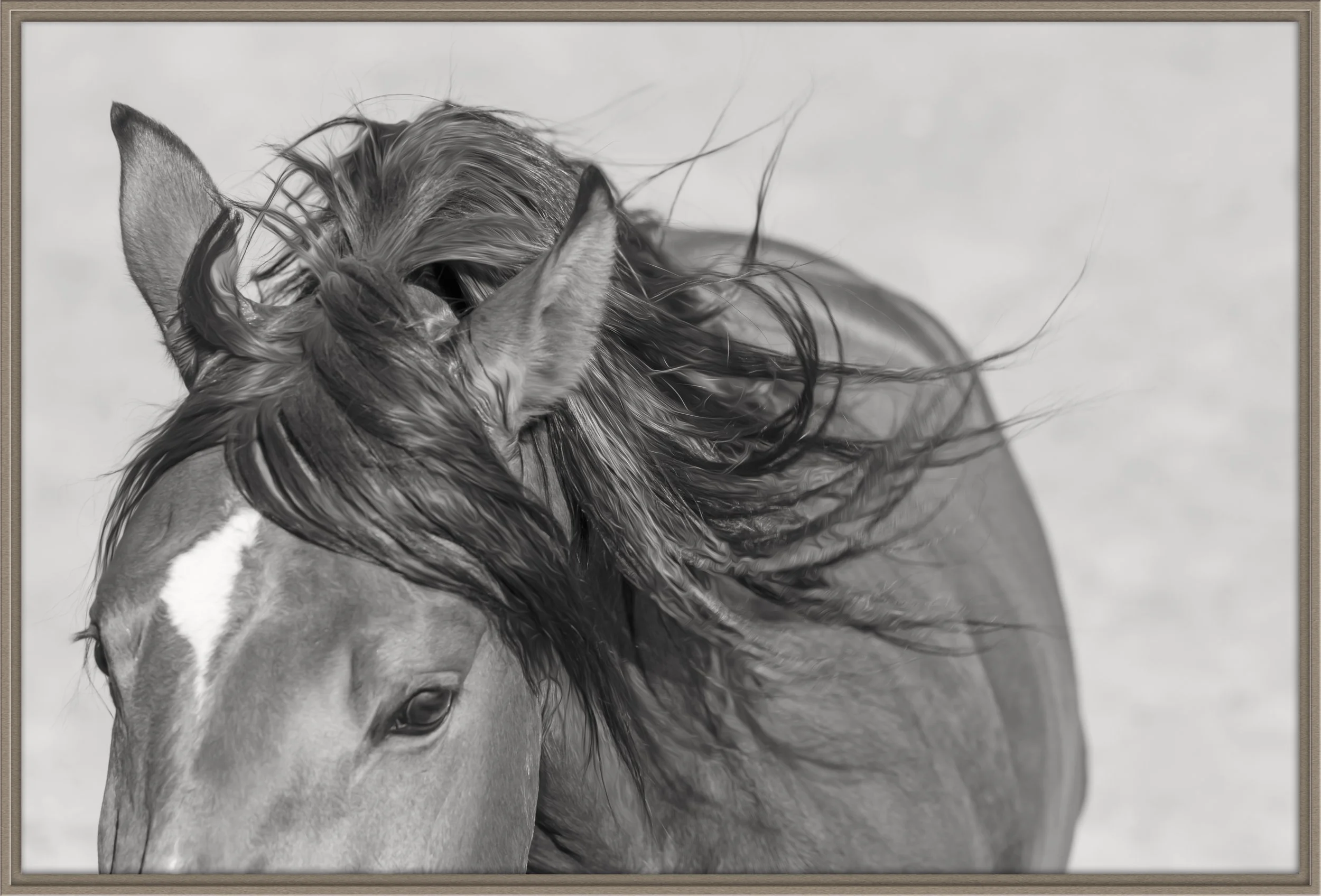 contemplate_christine dunn-1-Edit-2.jpg