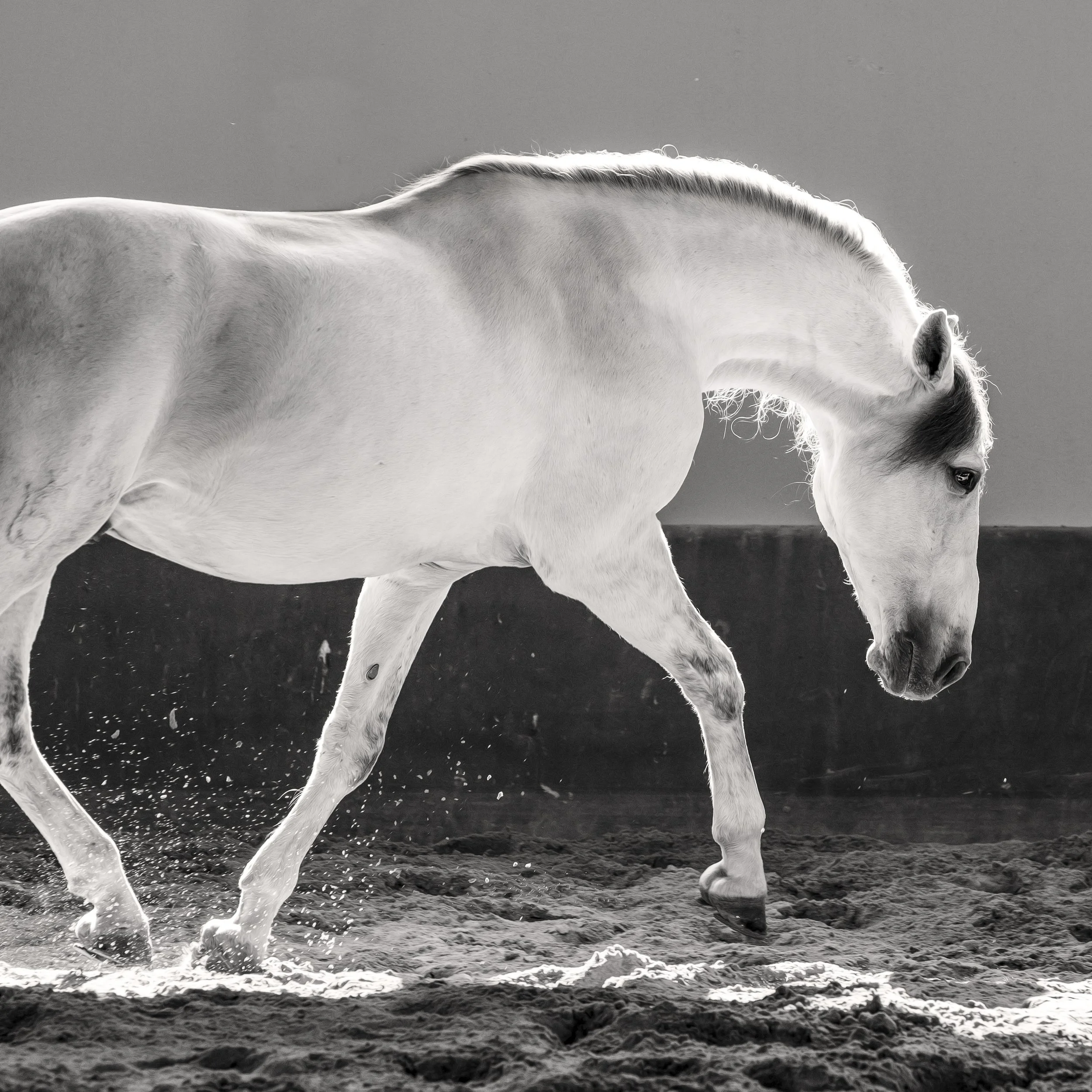 uzifur_christine dunn-1-2.jpg