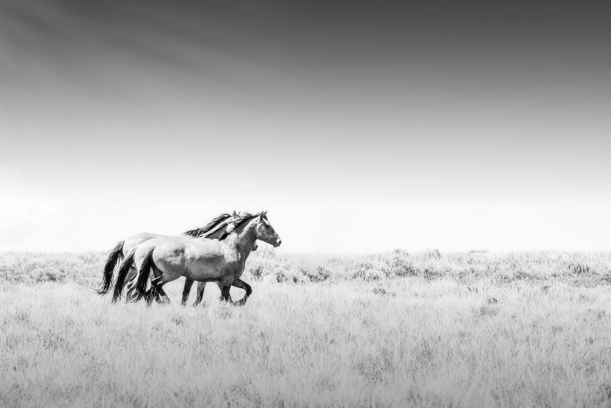 20200603-trio_christine dunn-1-2.jpg