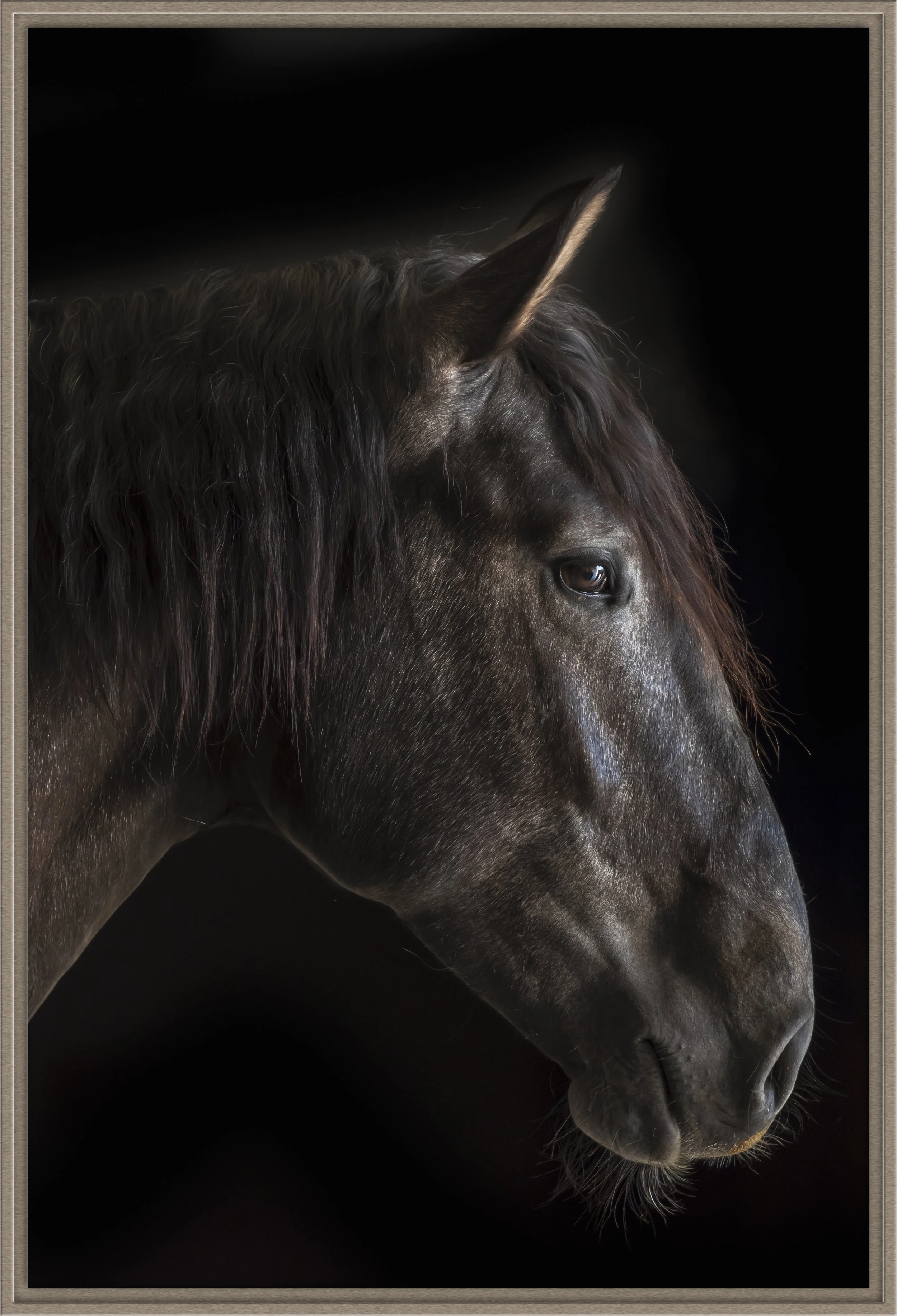 wise man_christine dunn-1-Edit-2.jpg