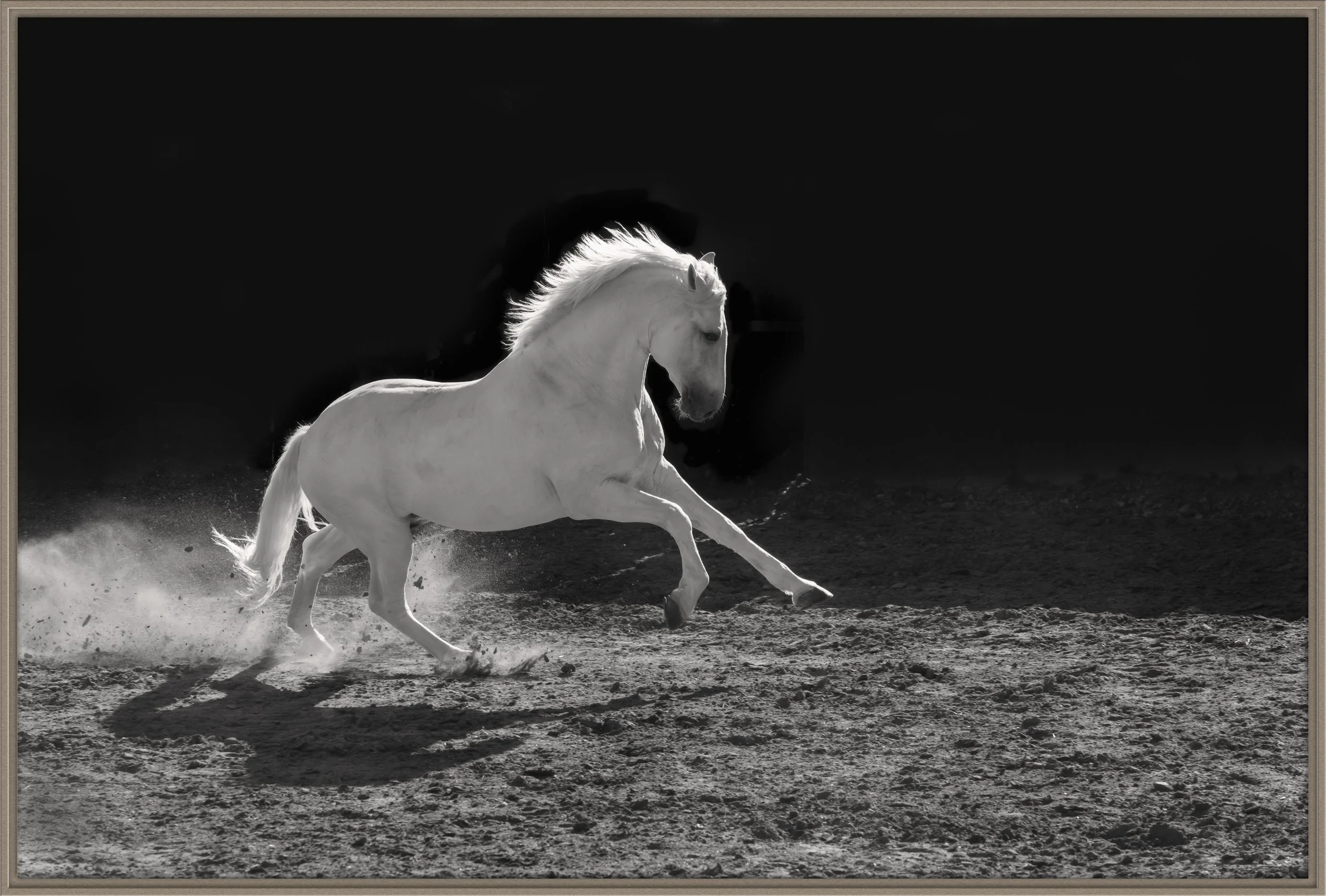 bombita_christine dunn-1-Edit-2.jpg