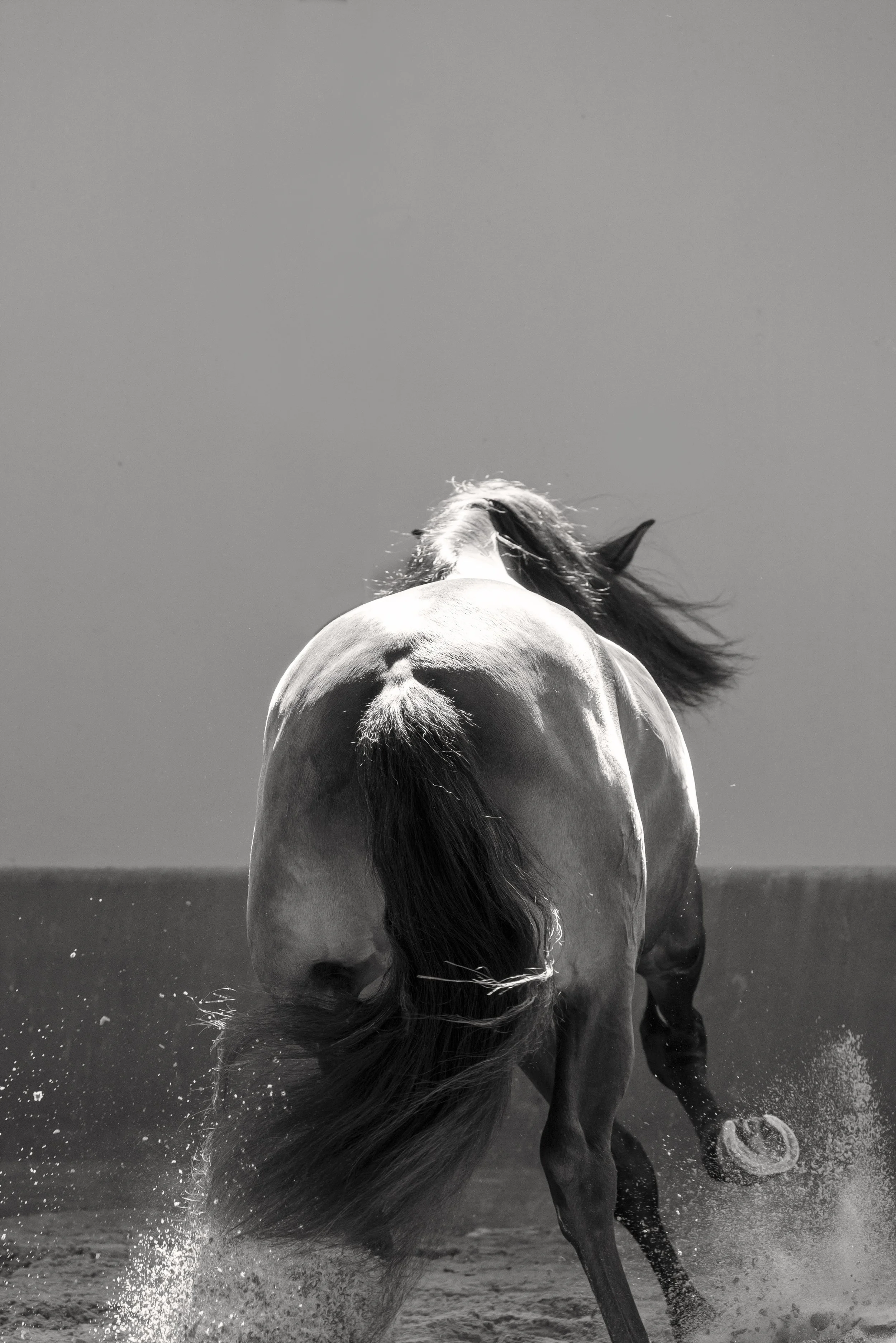 hotline_christine dunn-1-2.jpg