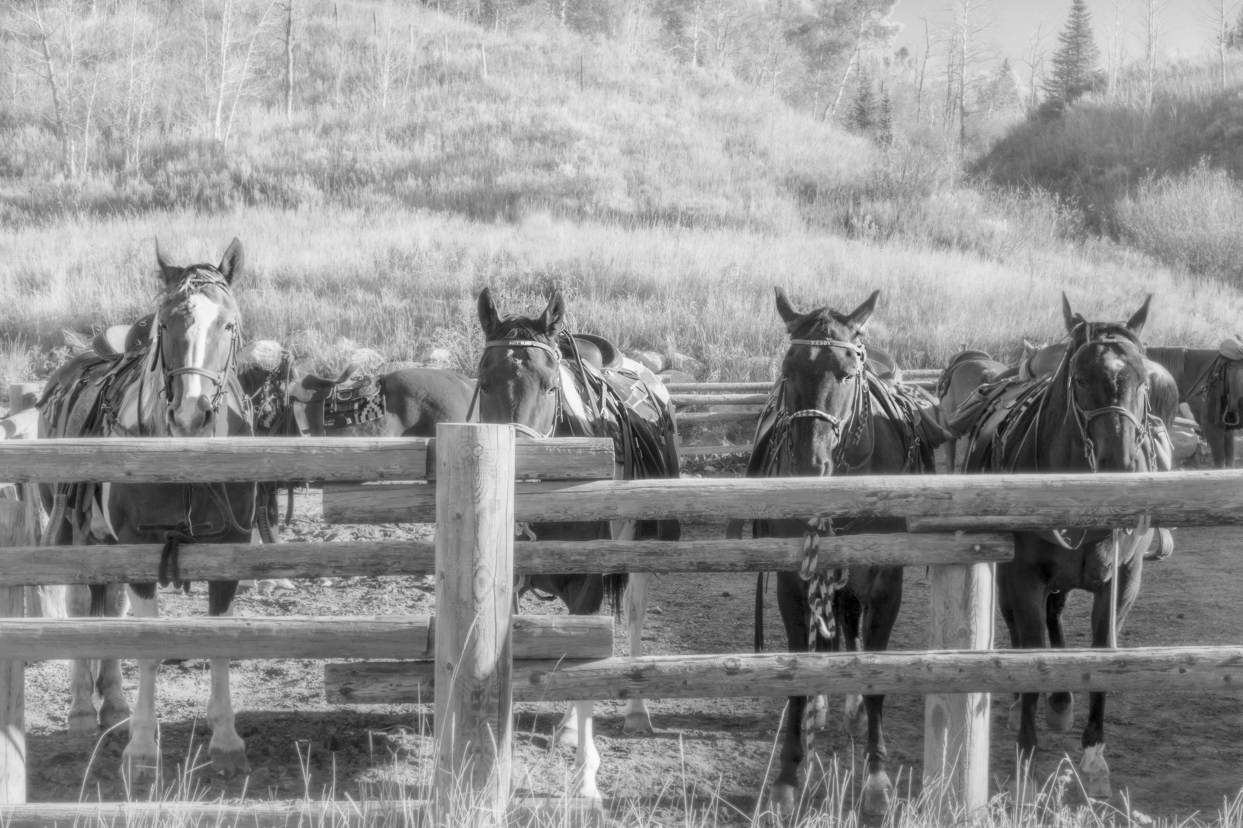 working boys_christine dunn-1-2.jpg