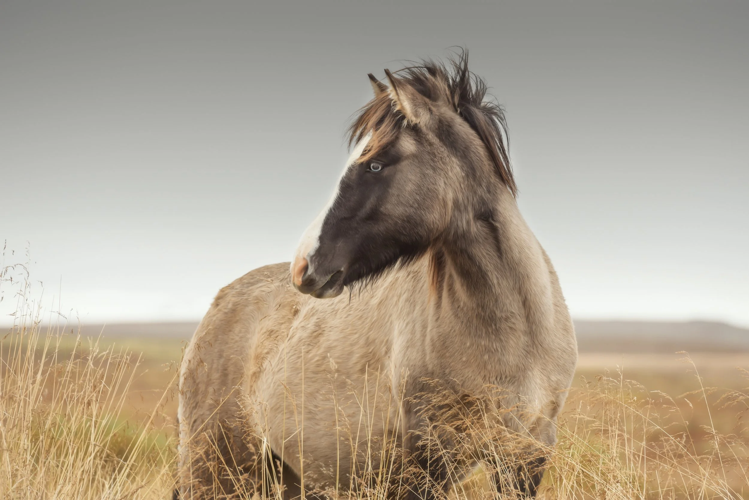 minds eye_christine dunn-1-2.jpg