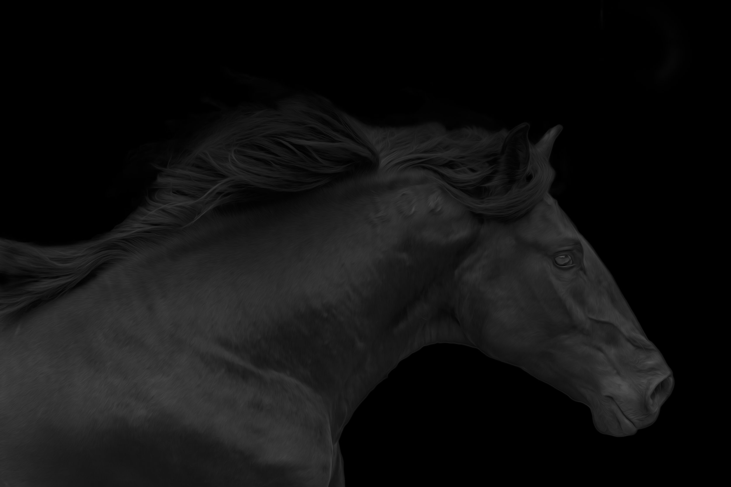 black brand_christine dunn-1.jpg