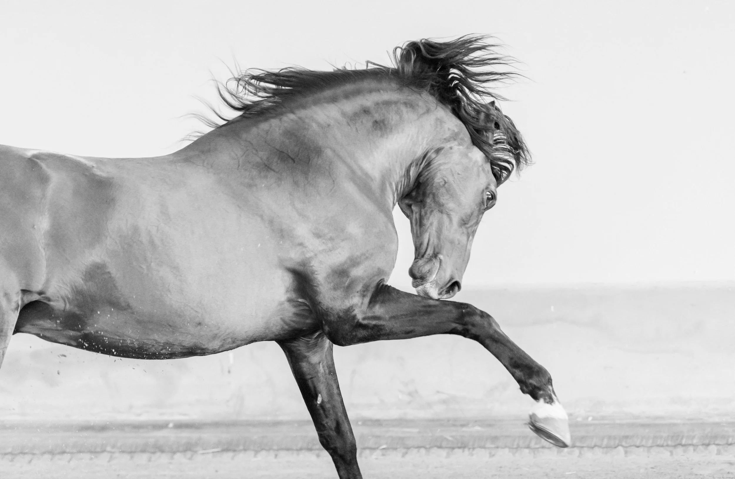 attitude_christine dunn-1-2.jpg