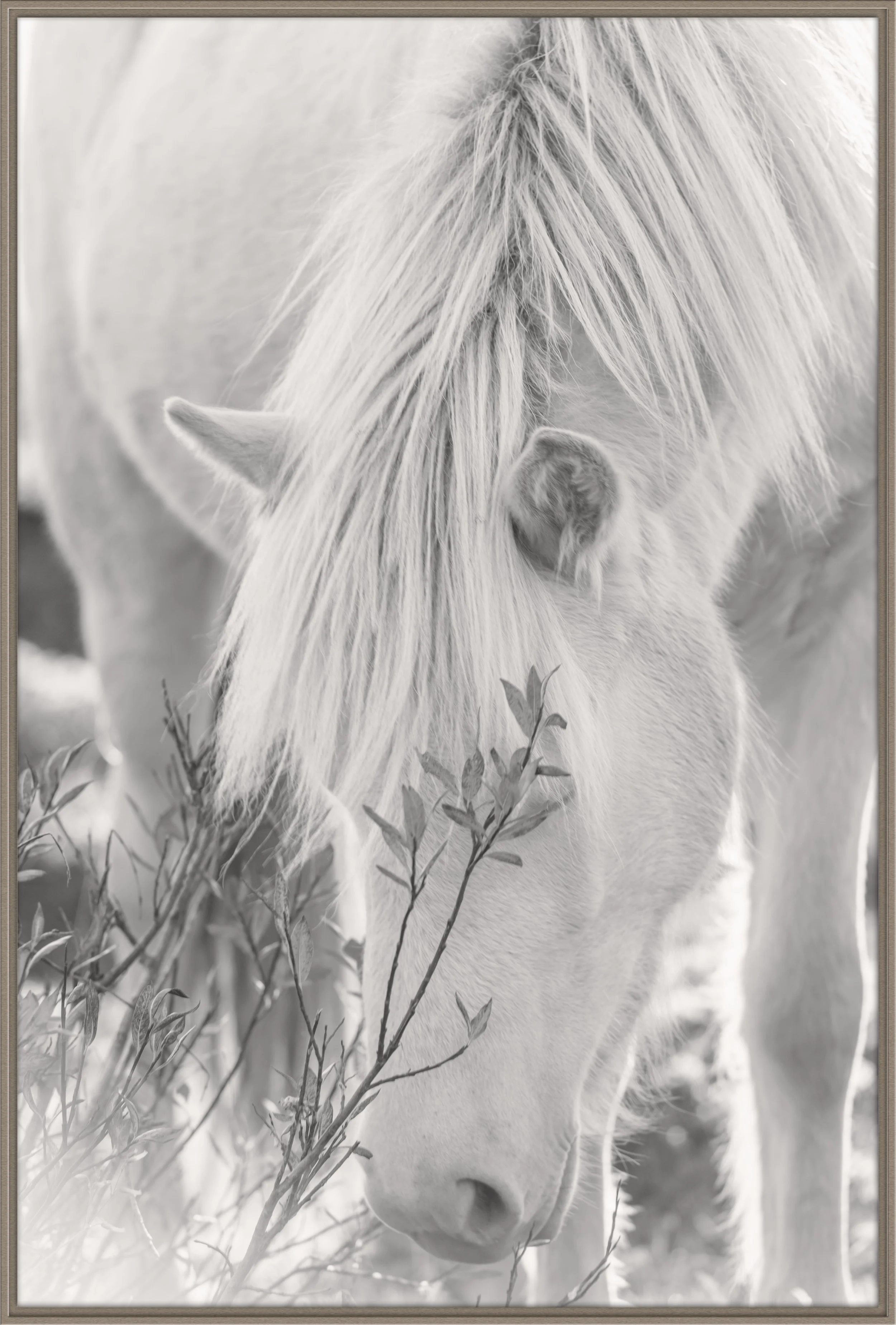 white calm_christine dunn-1-Edit-2.jpg