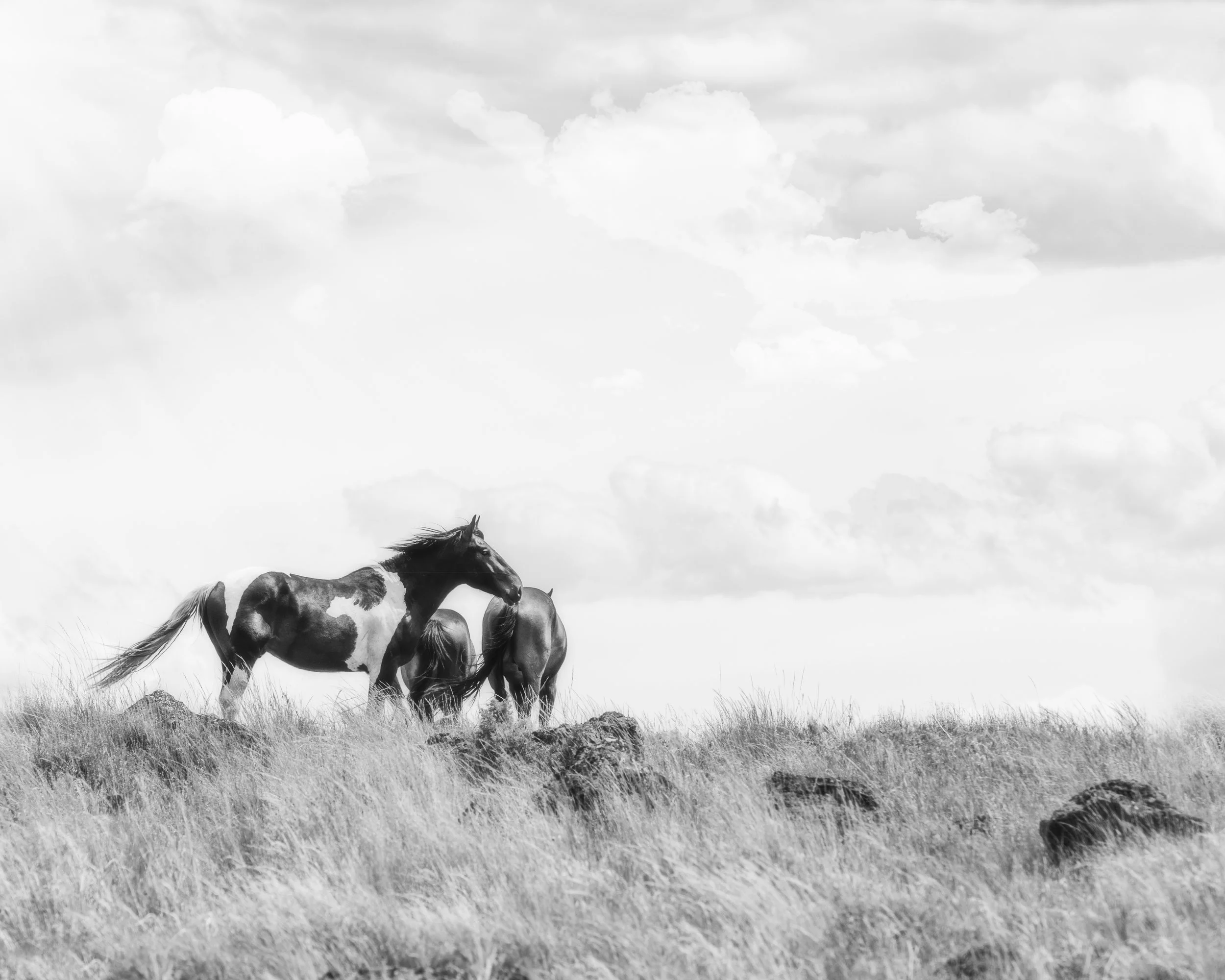 20200605-westerly_christine dunn-1.jpg