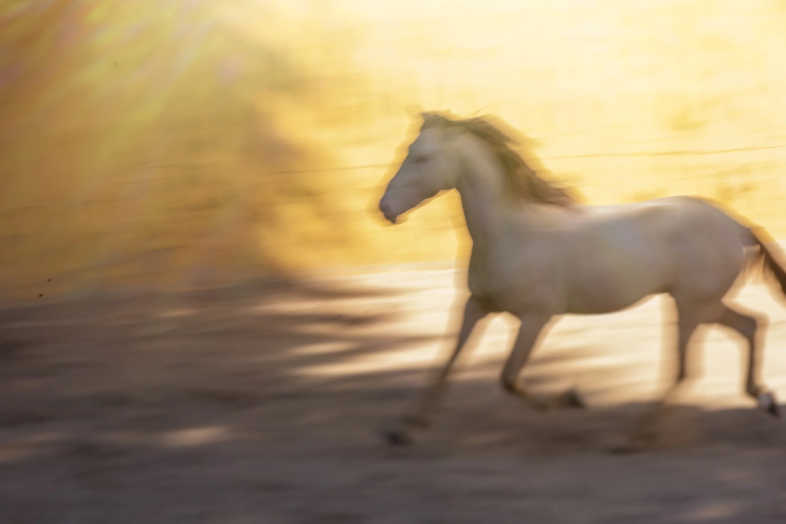 illusory_christine dunn-1-2.jpg