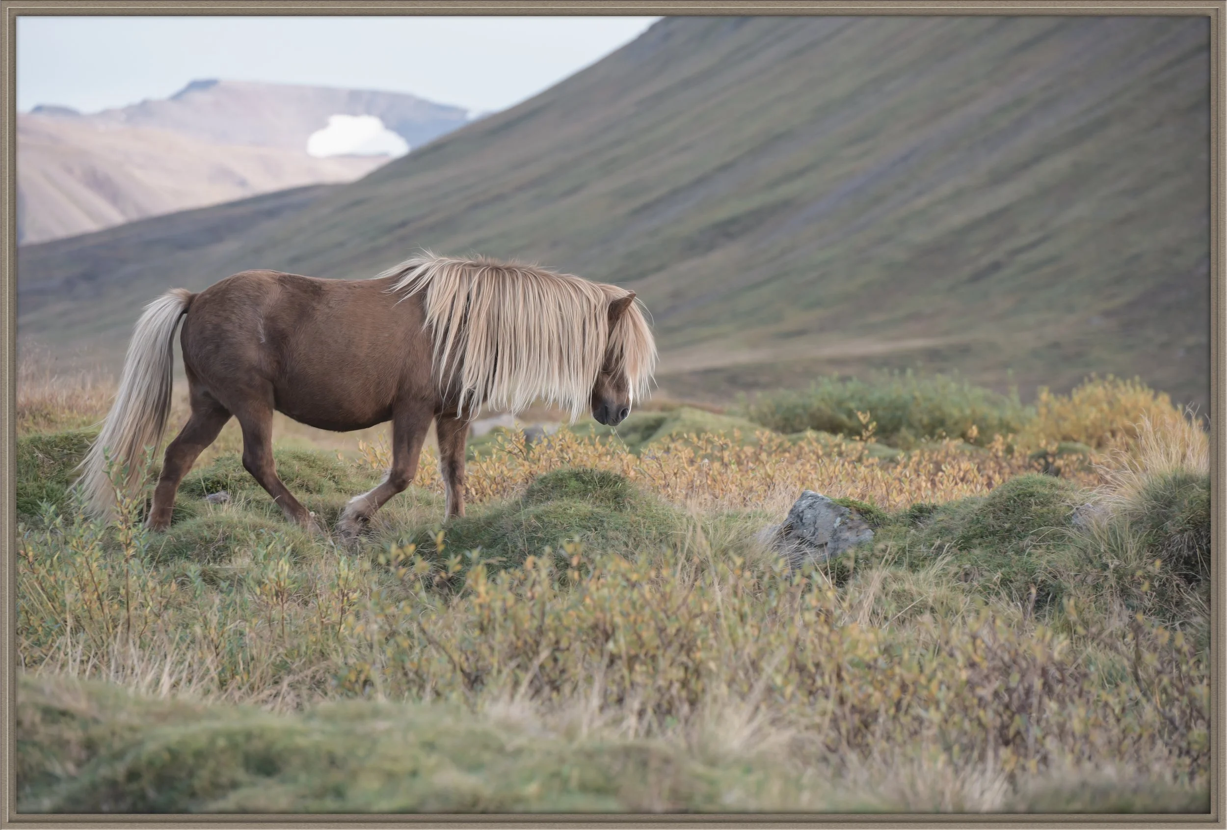 traveler_christine dunn-1-Edit-2.jpg