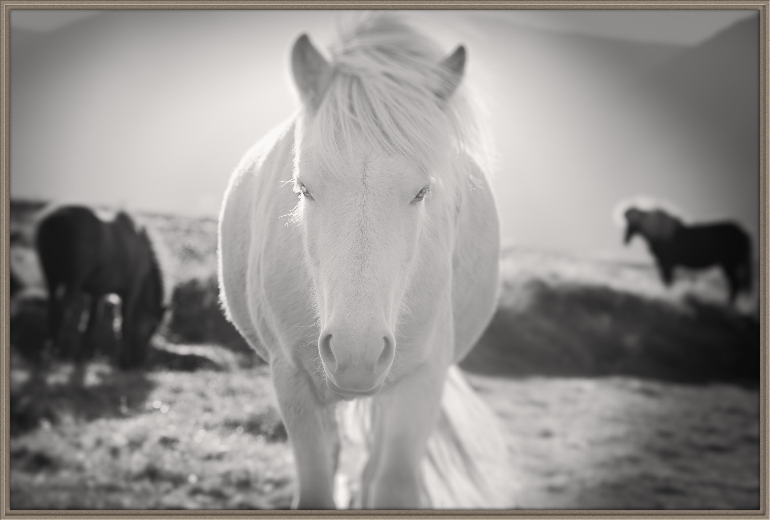 uriel_christine dunn-1-Edit-2.jpg