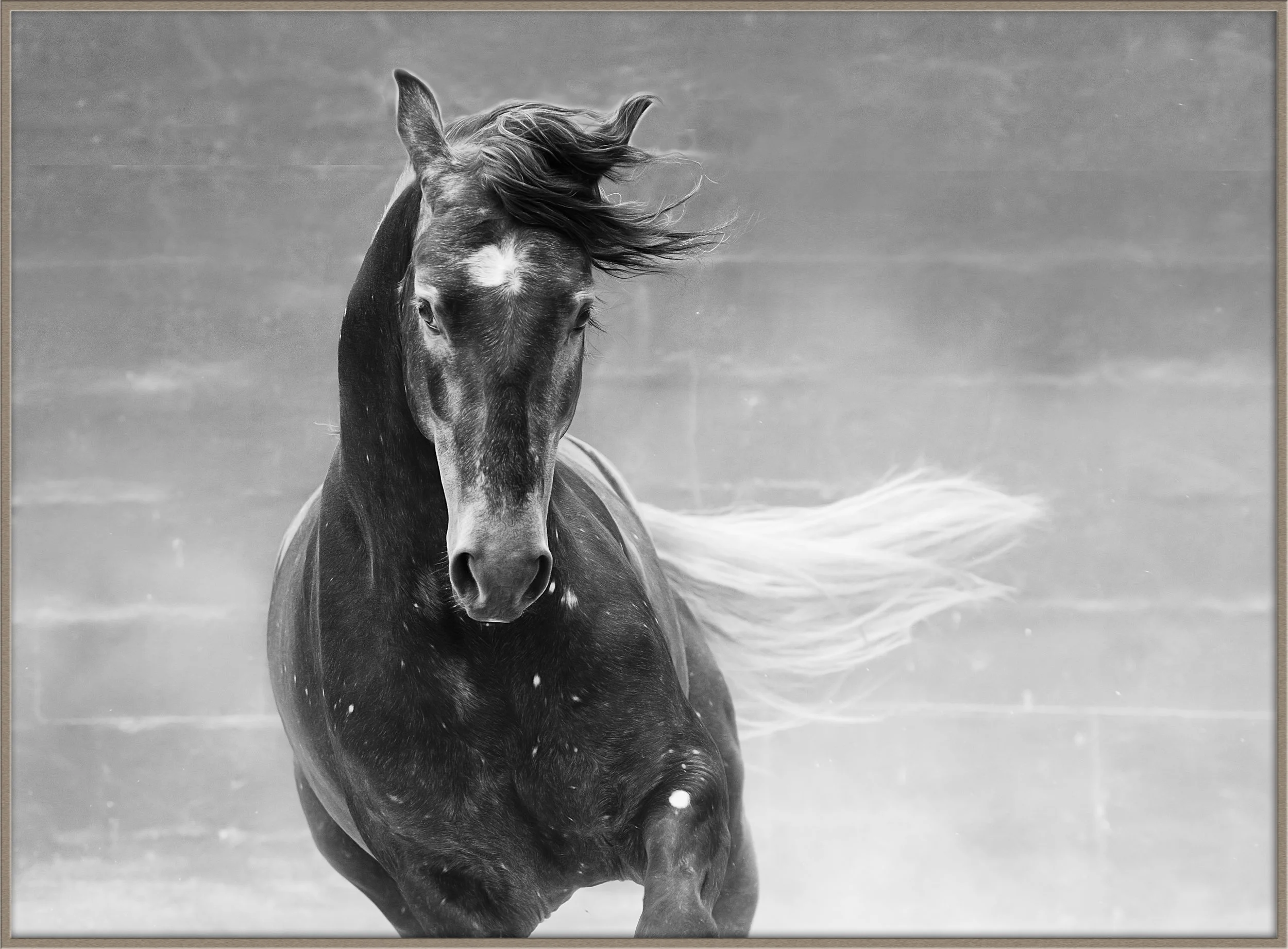 stylin'_christine dunn-1.jpg