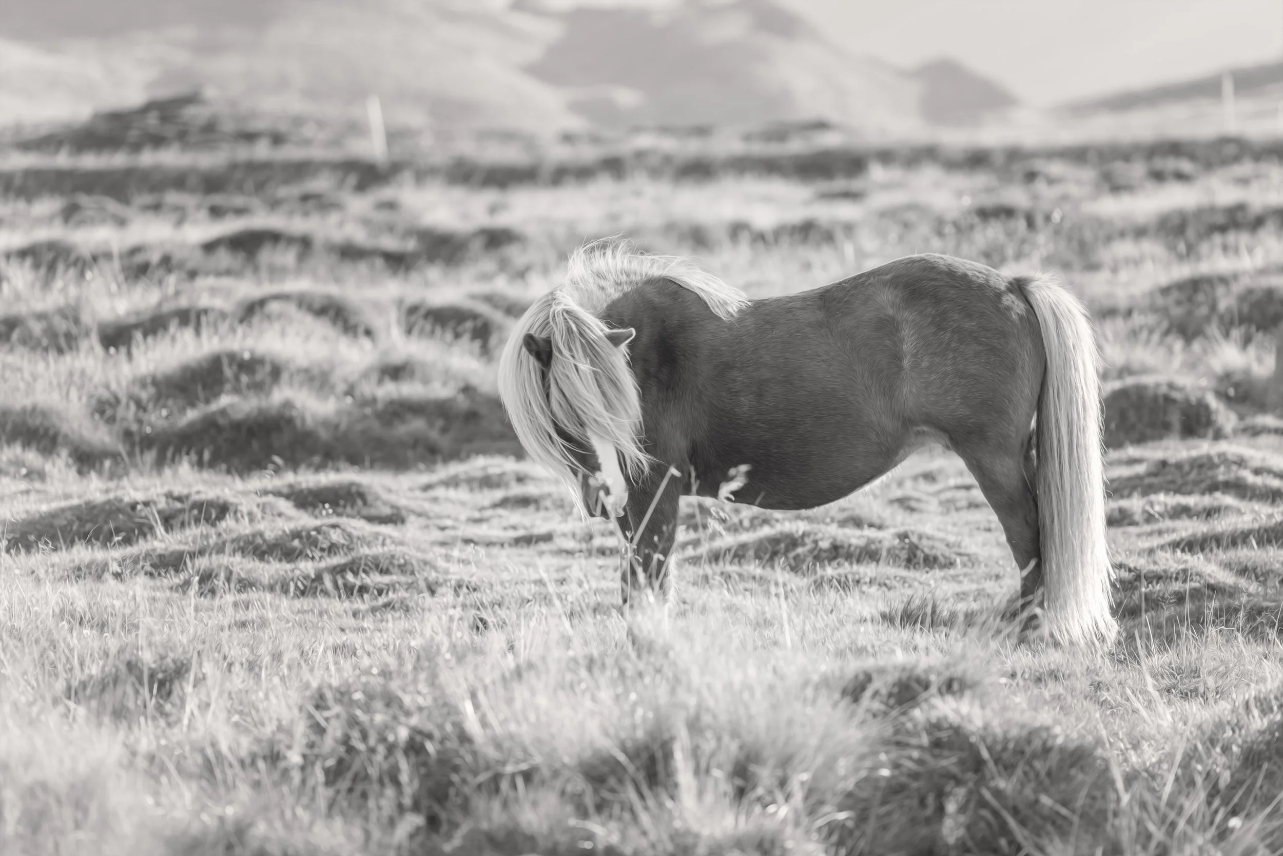 ares_christine dunn-1-2.jpg