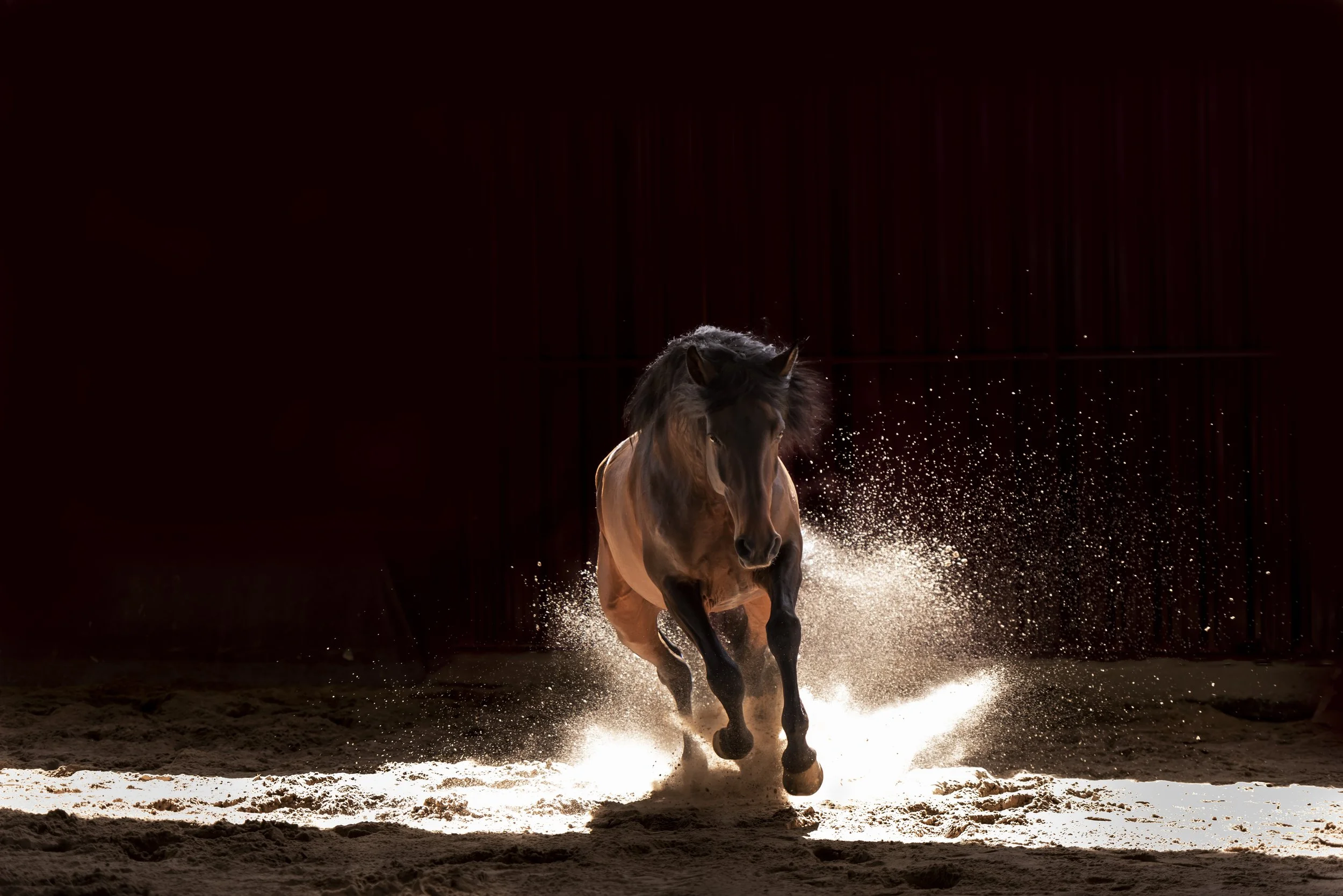 imperador_christine dunn-1-2.jpg