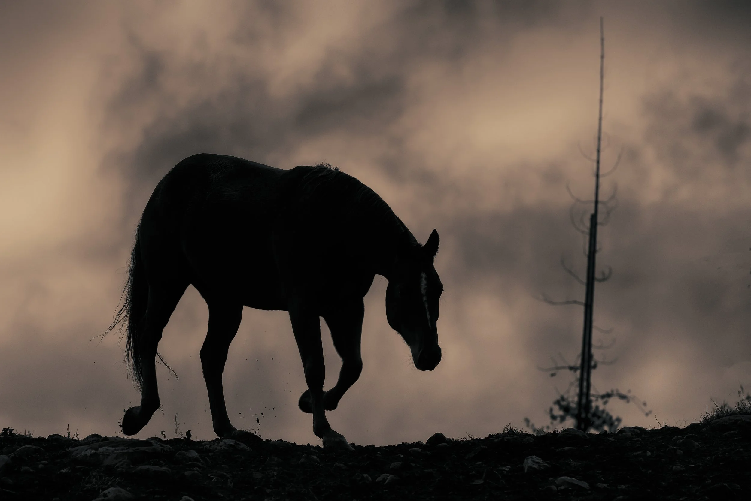 solo_christine dunn-1-2.jpg