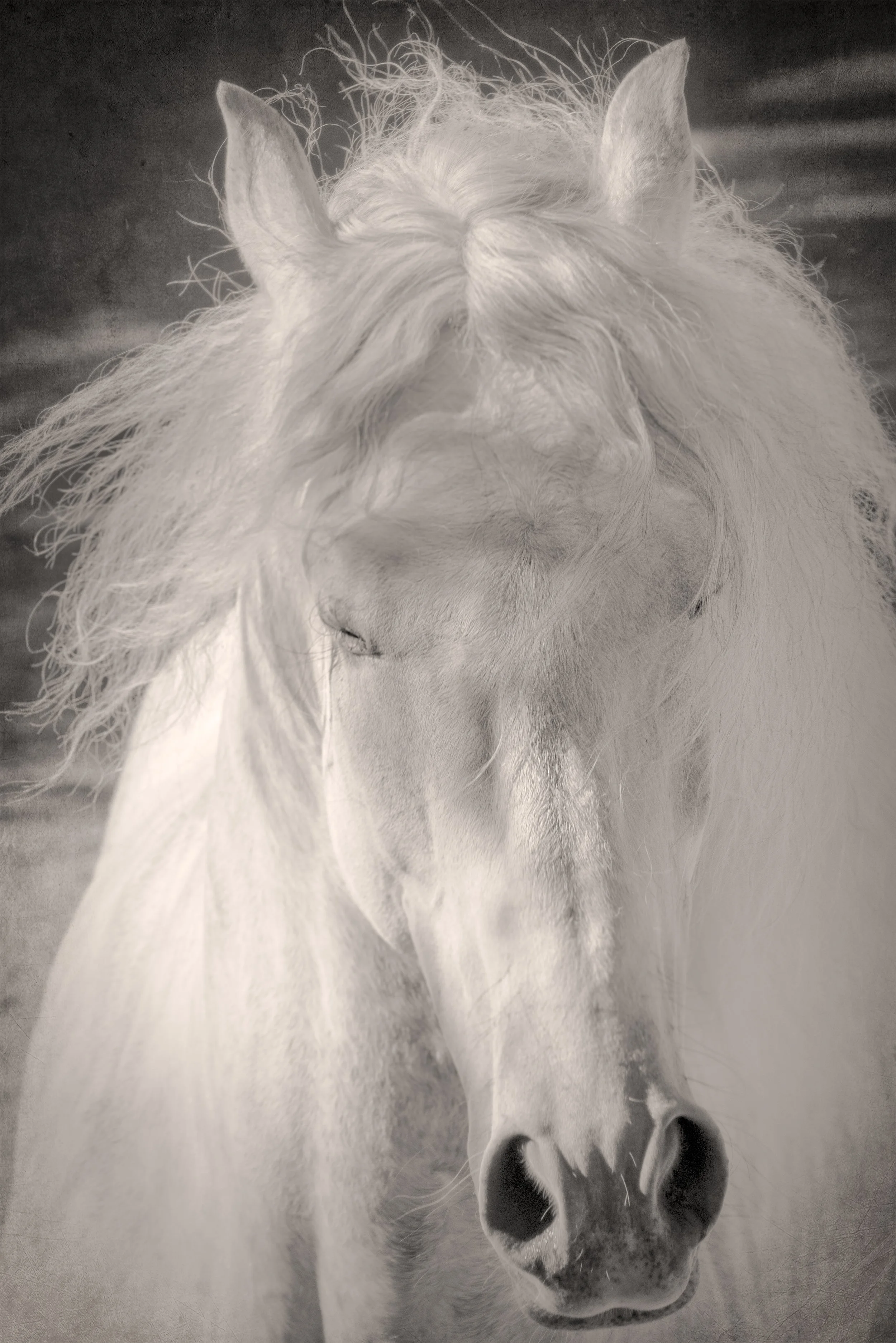 portugual print-1-3.jpg