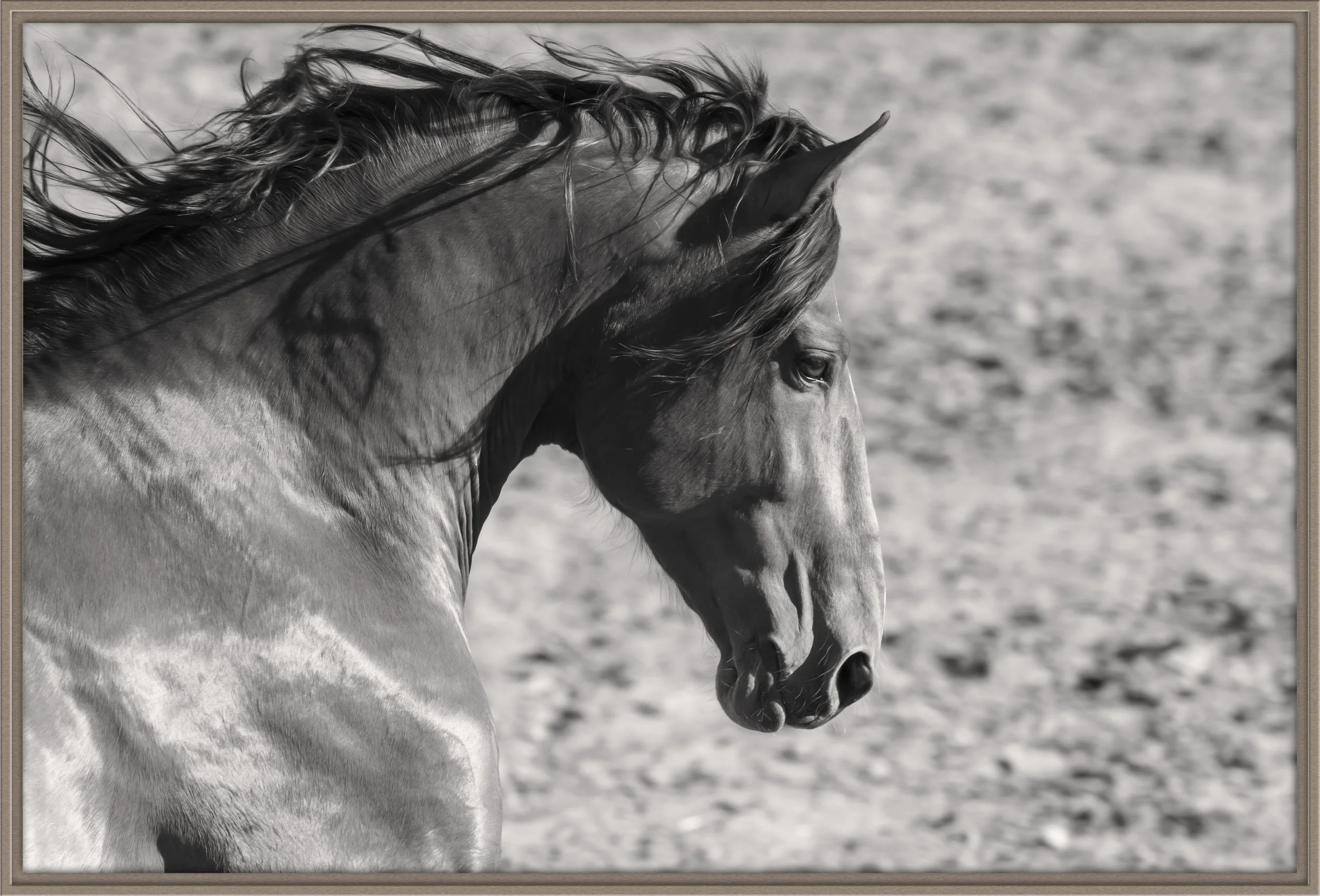 havana_christine dunn-1-Edit-2.jpg