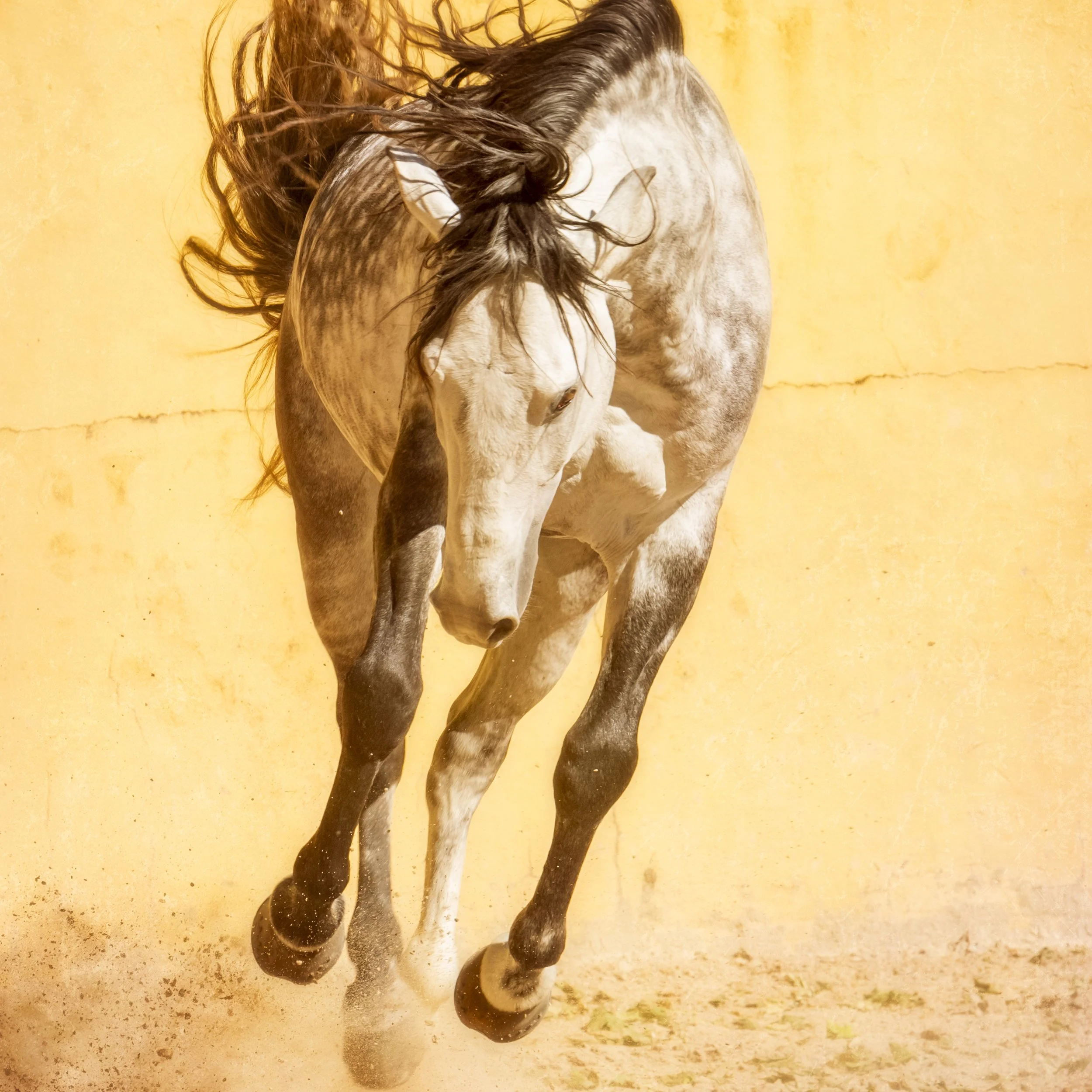 powered_christine dunn-1-2.jpg