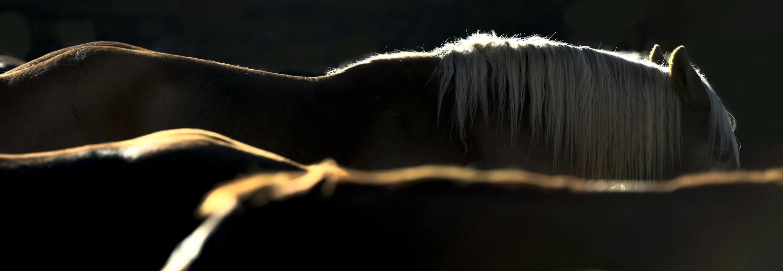 20161010_Vista Verde (447 of 1800)-Edit-2.jpg