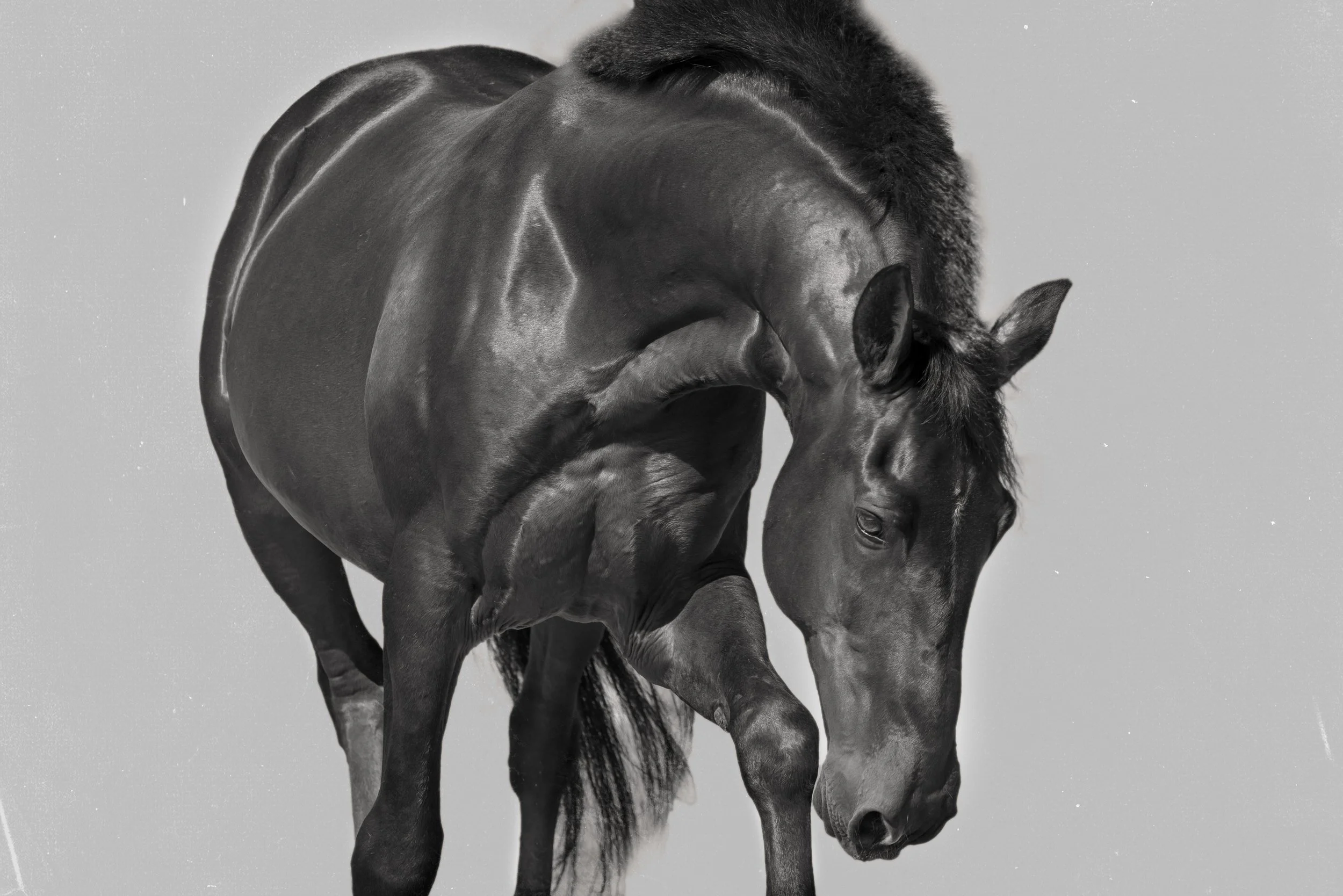 iman_christine dunn-1-2.jpg