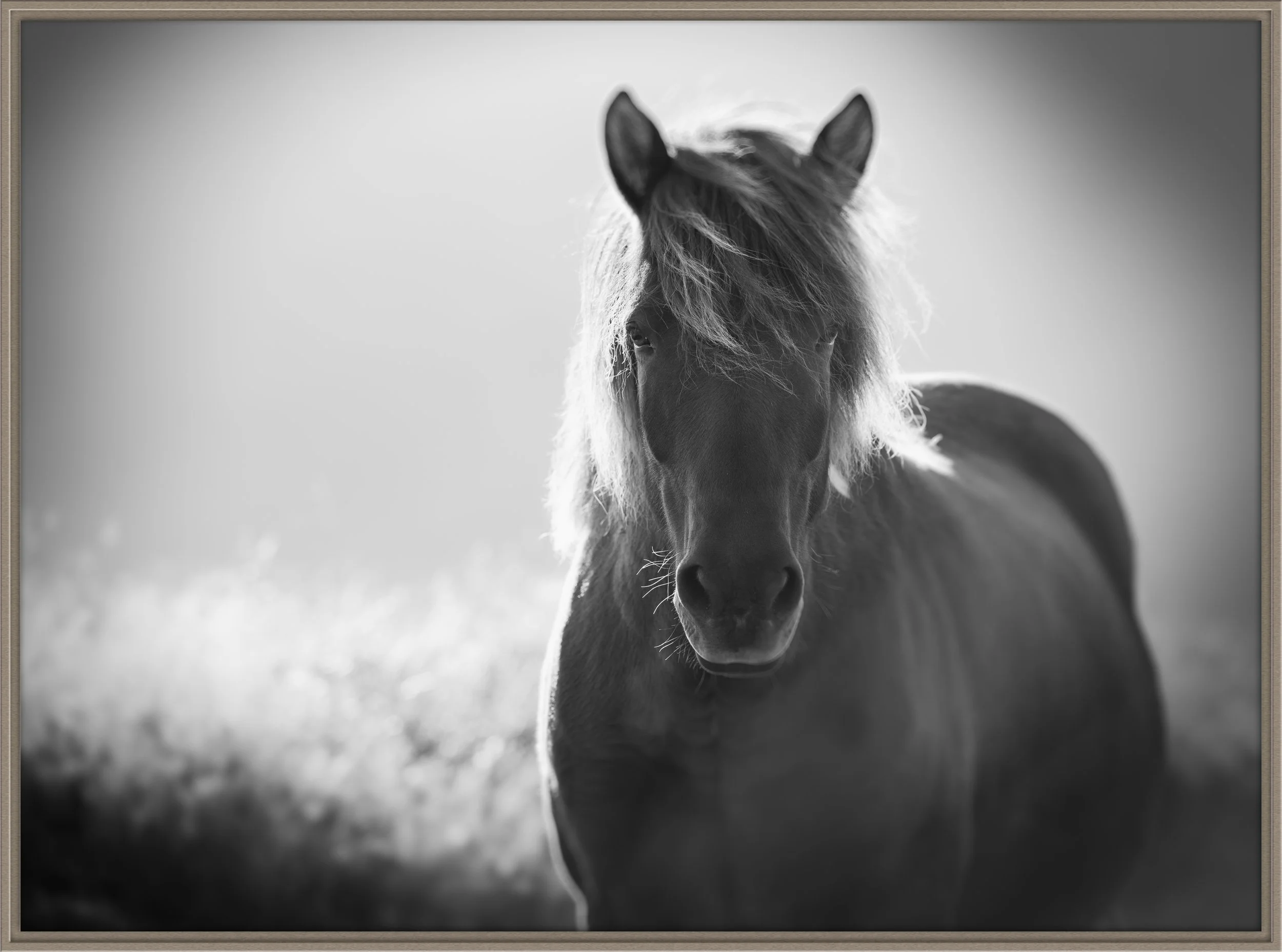 misty_christine dunn-1-2.jpg