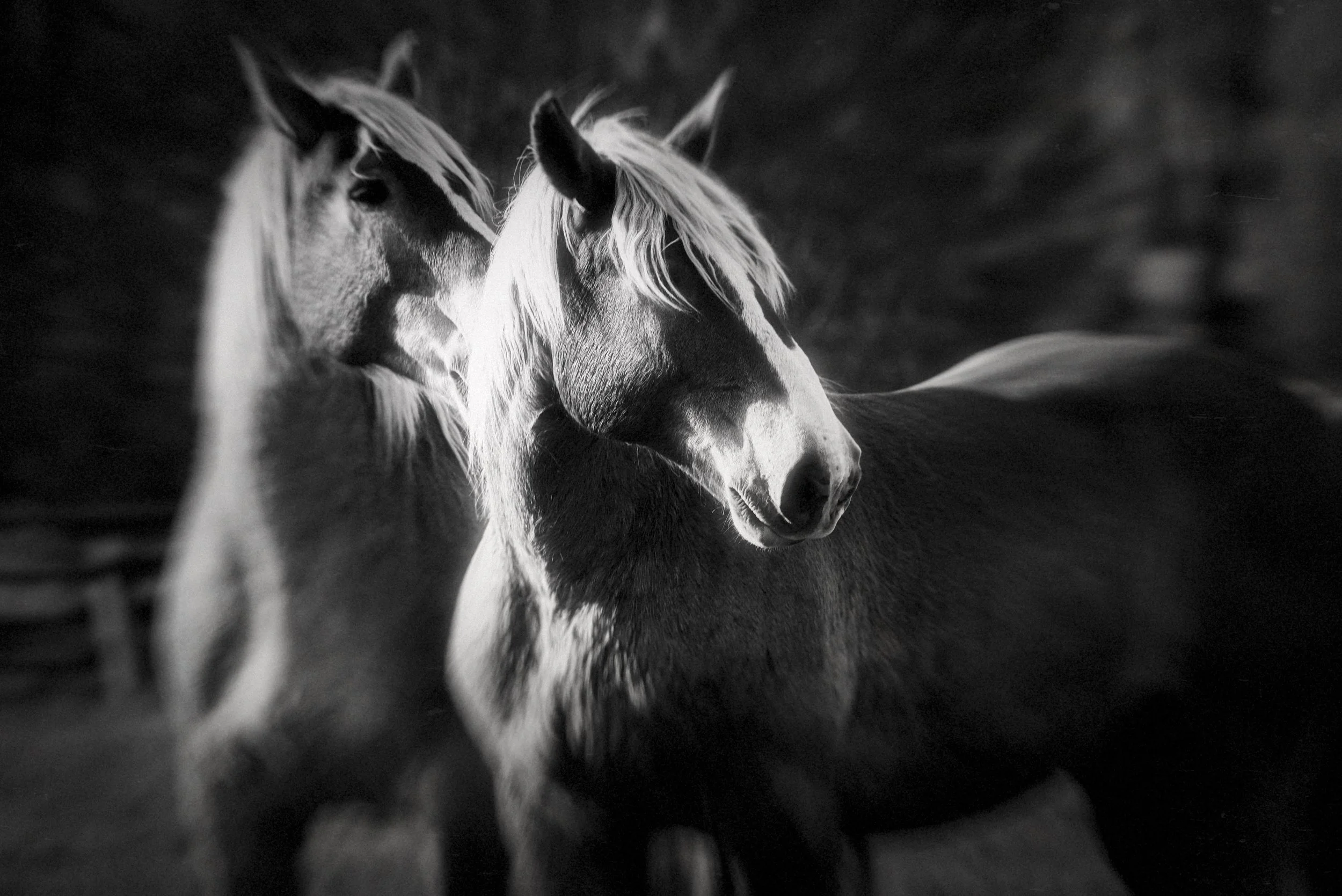 powerful duo-October 12, 2016-001-2.jpg