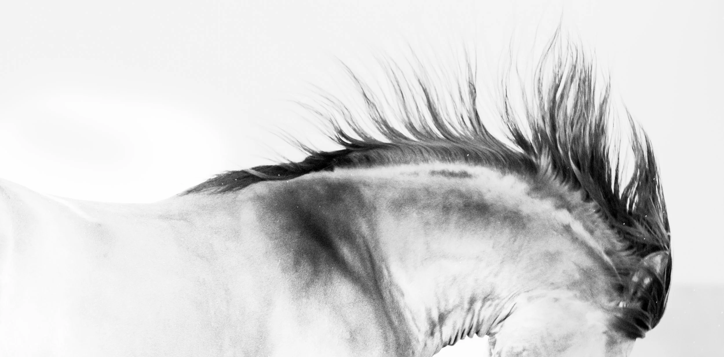 follies_christine dunn-1-2.jpg