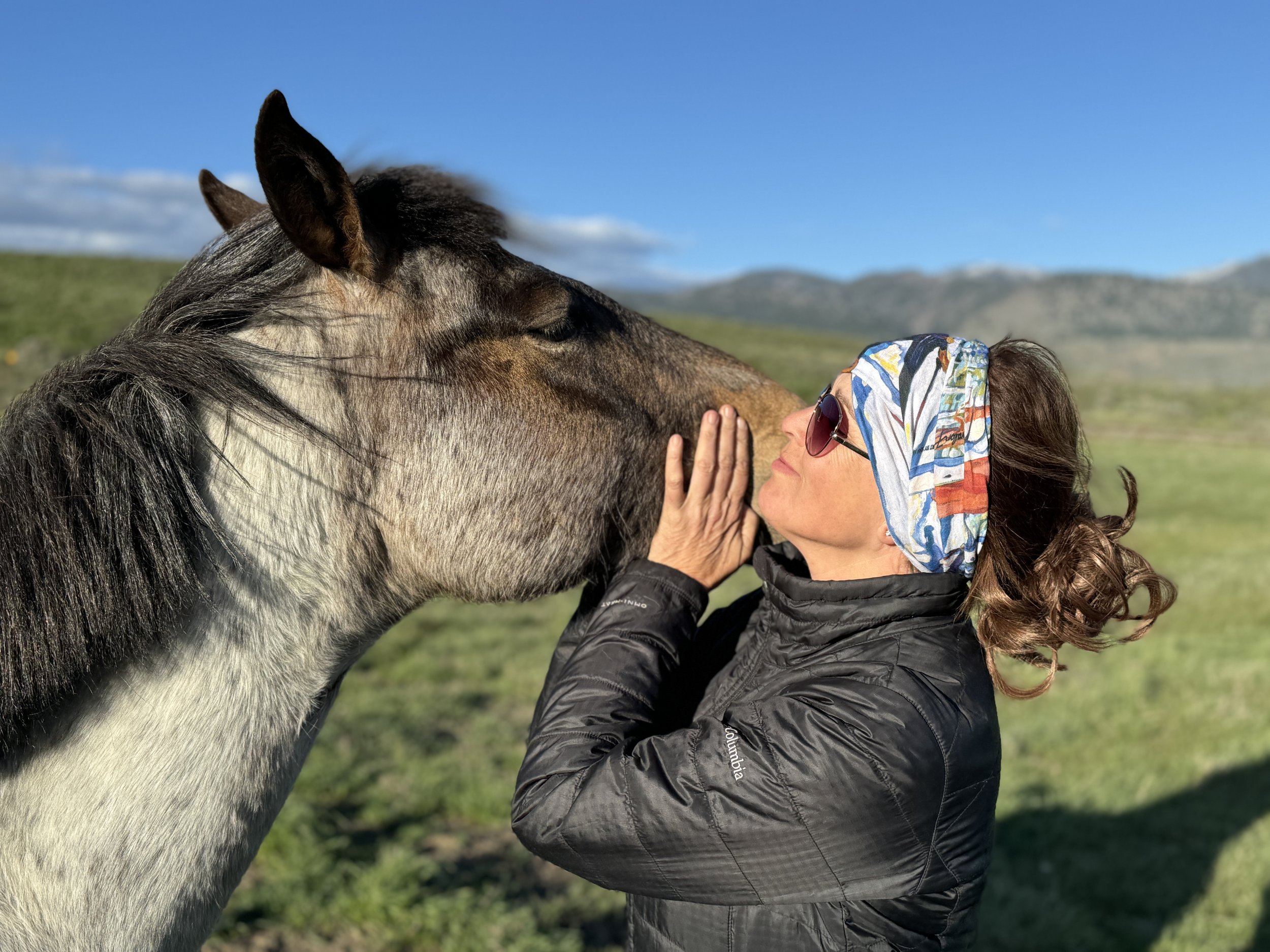 christy Dunn with horses