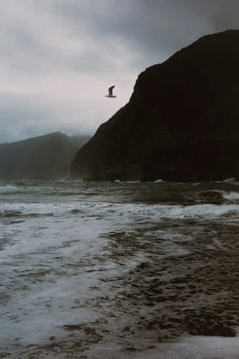 A seagull flying over a rocky coastline with waves crashing in the foreground and a cloudy sky overhead.