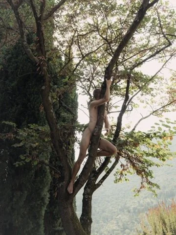 A person climbing a tree outdoors